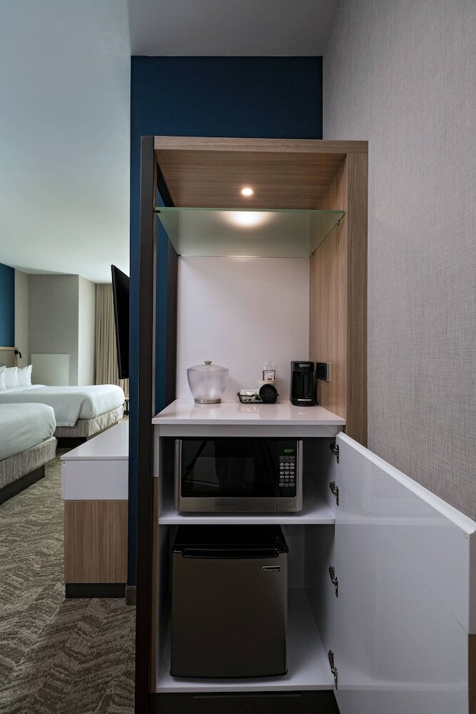 Premium Suite, 1 King Bed with Sofa bed, Non Smoking