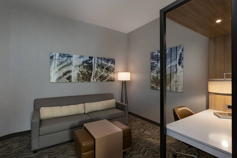Premium Suite, 1 King Bed with Sofa bed, Non Smoking