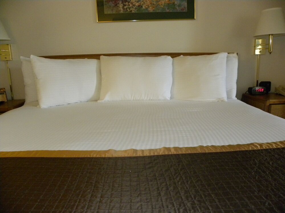 Superior Room, 1 King Bed with Sofa bed