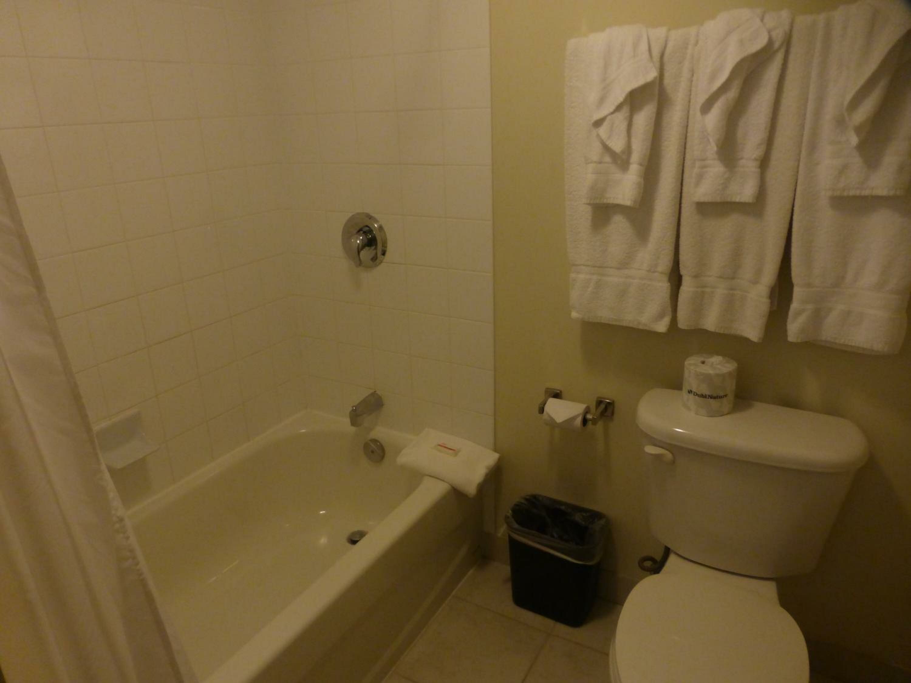 1 King Bed and 1 Sofa Bed, Suite, Non-Smoking