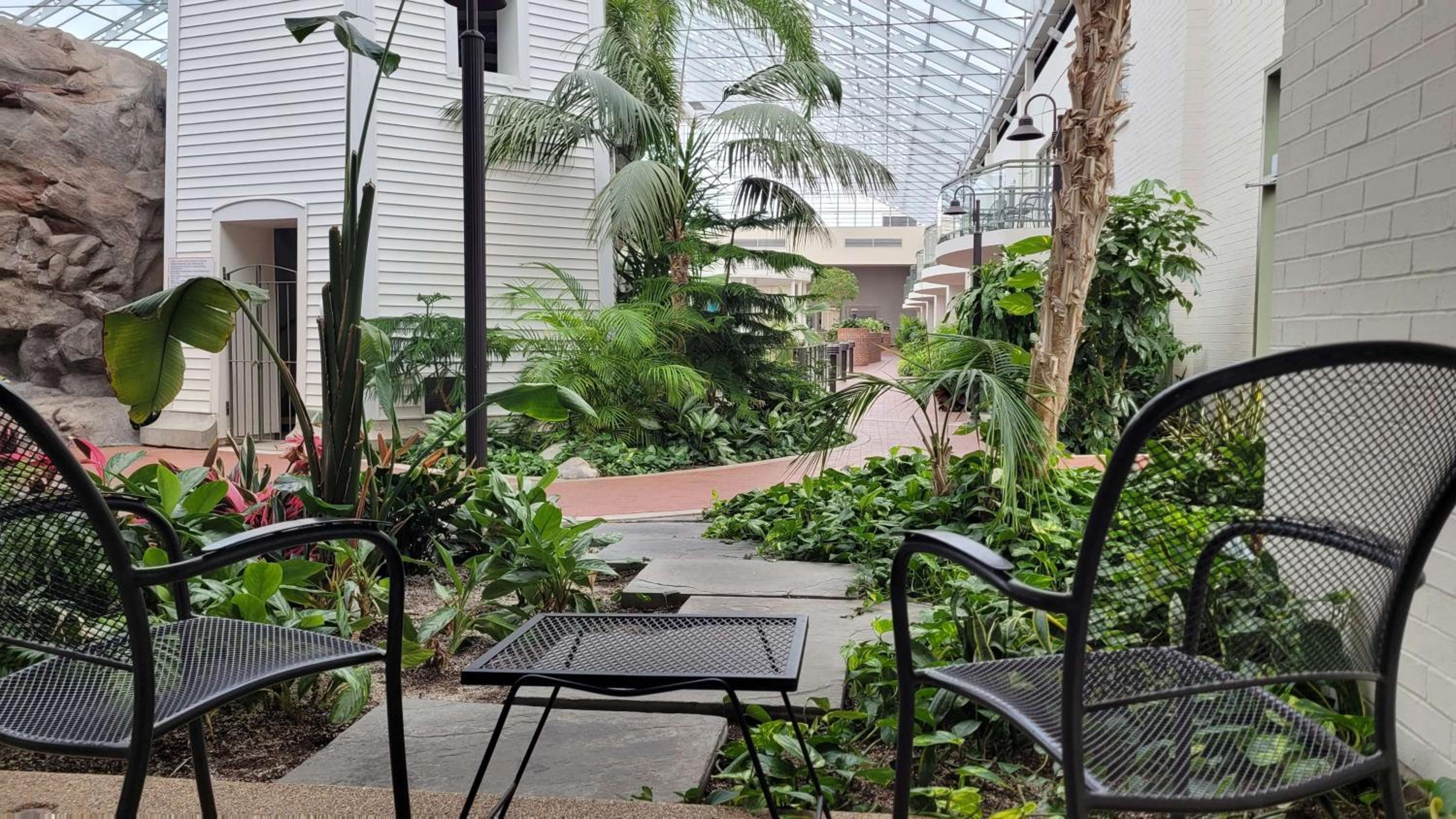 Queen Room with Two Queen Beds and Patio - West Wing/Atrium View