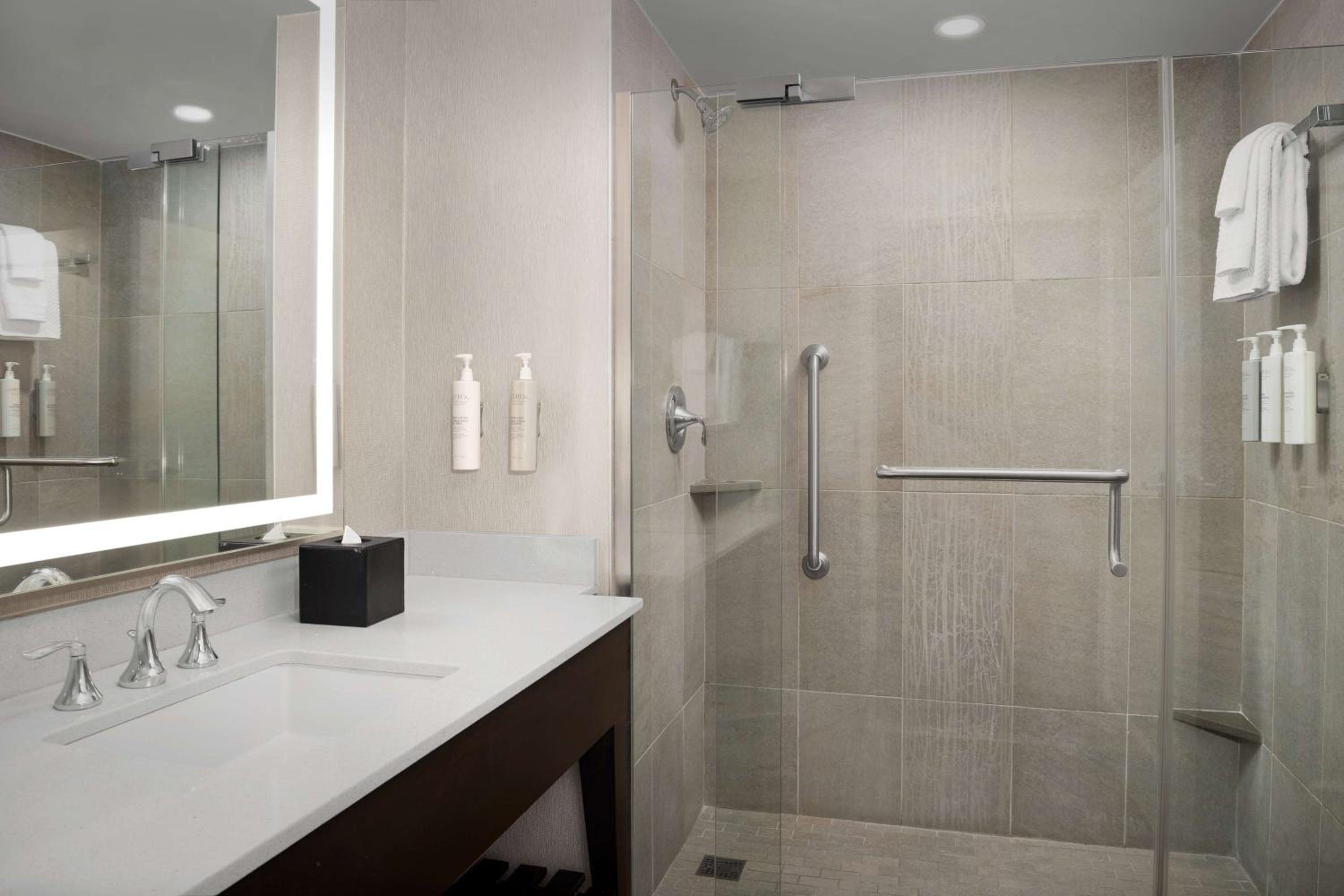 King Suite with Sofa Bed