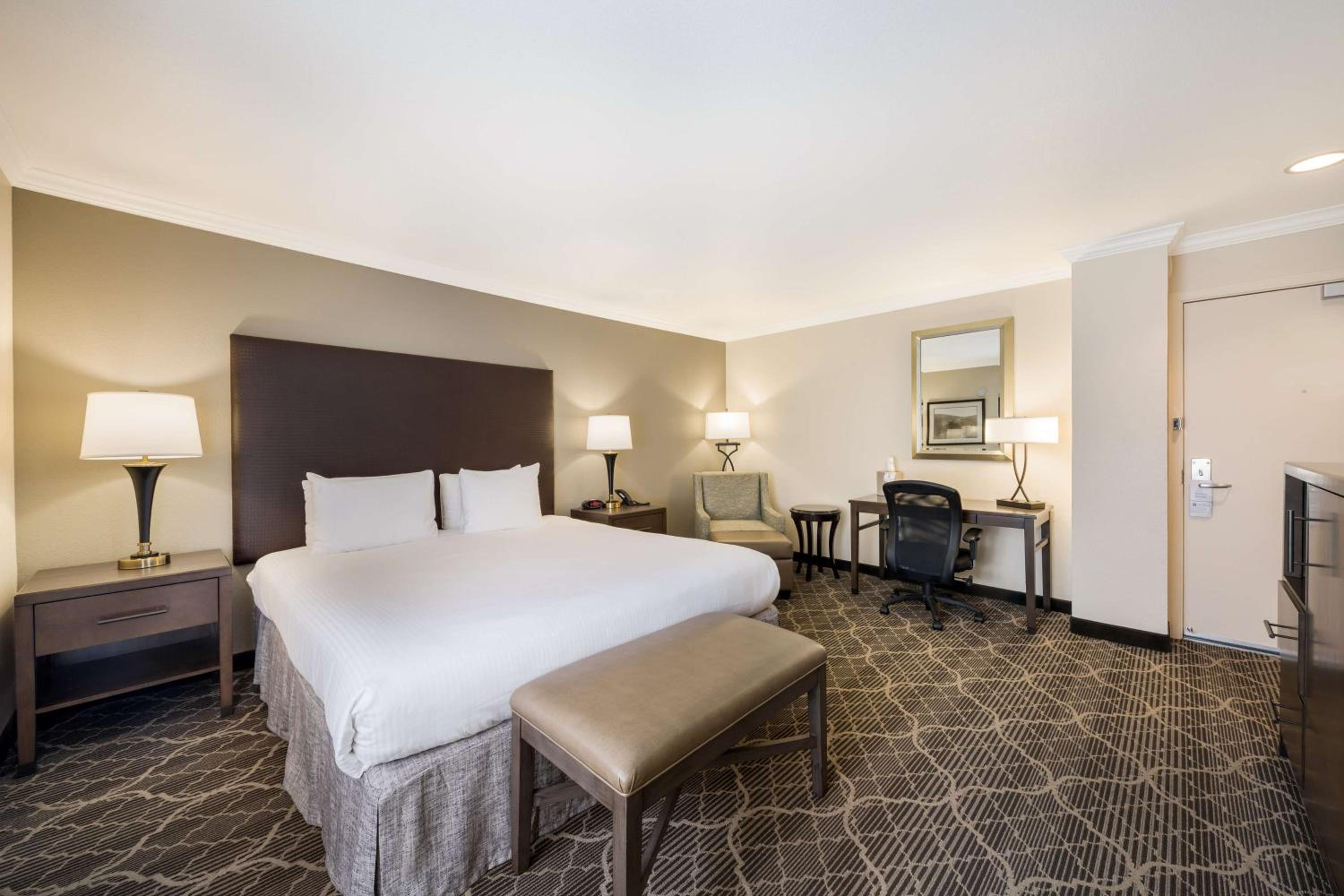 King Suite with Sofa Bed