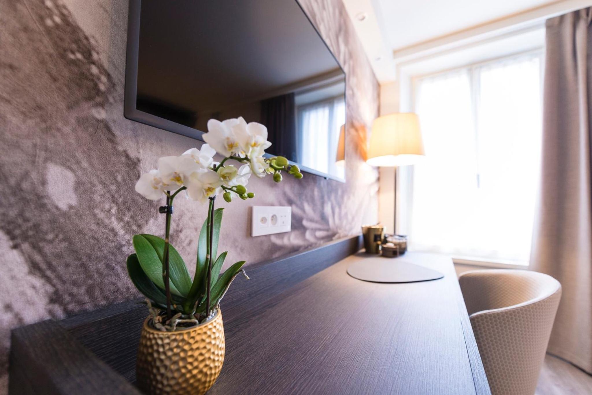 Double or Twin Room with Lake View