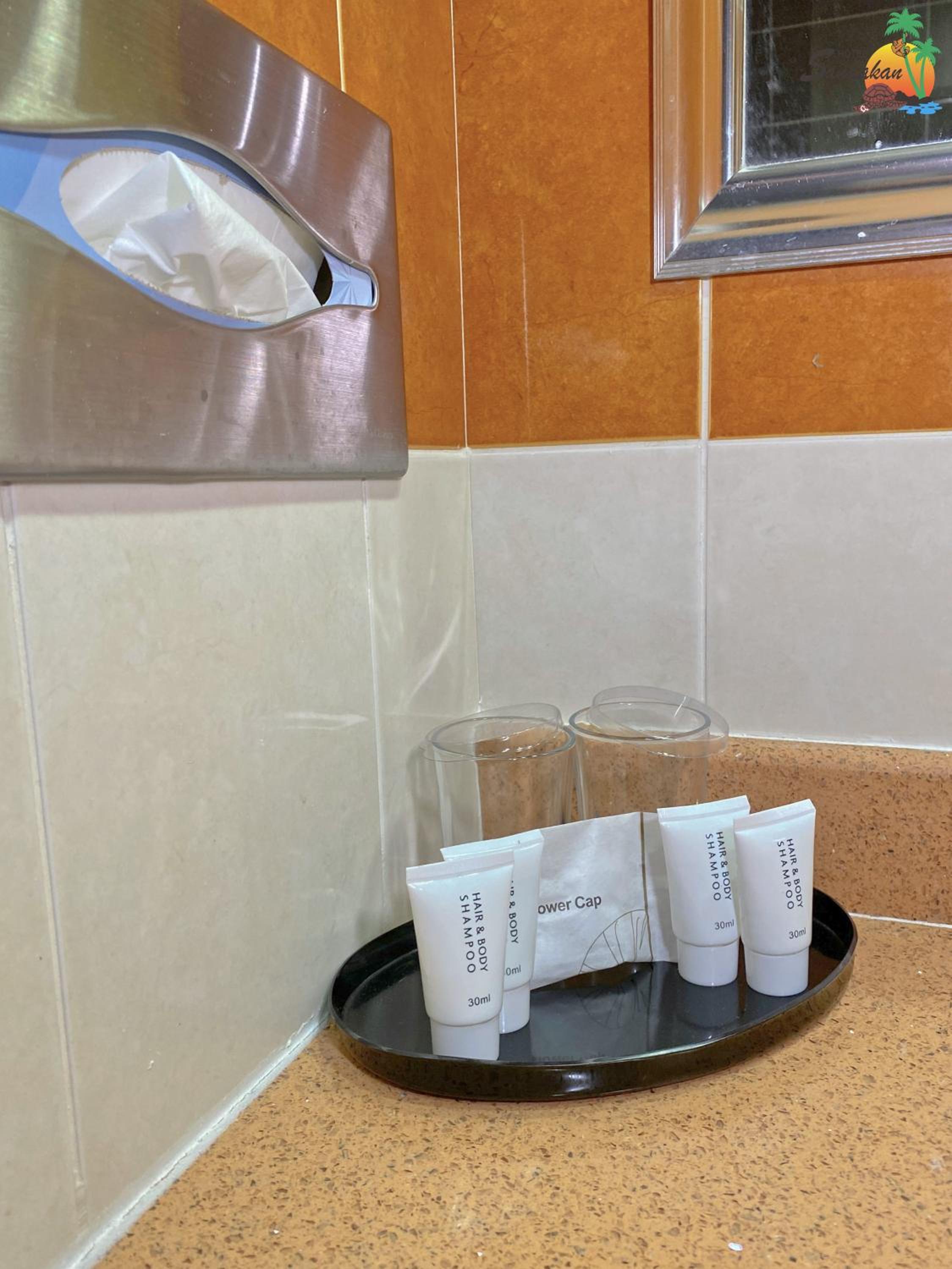 Selingan Deluxe Family Room