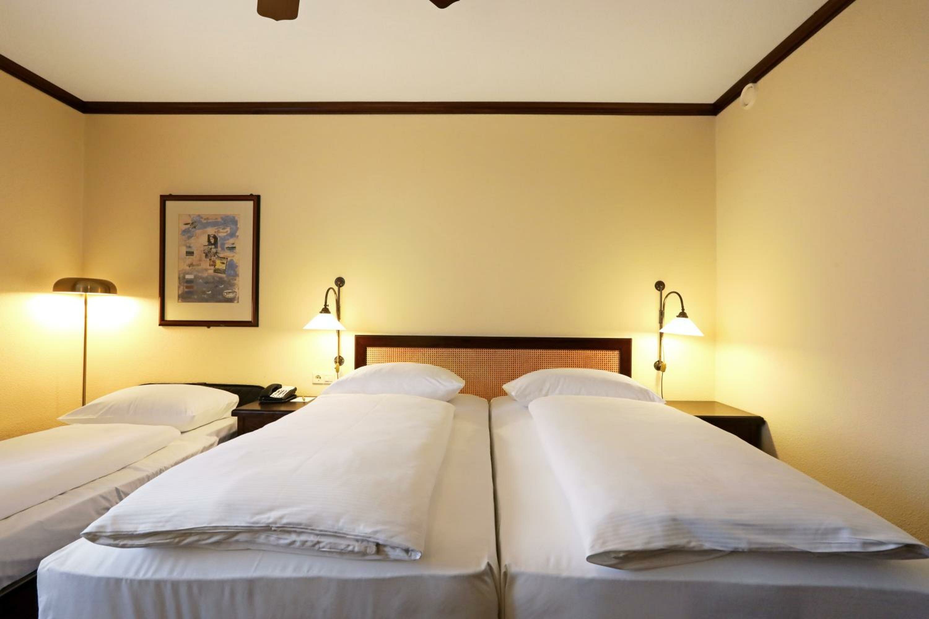 Classic Room with One Double Bed and One Single Bed