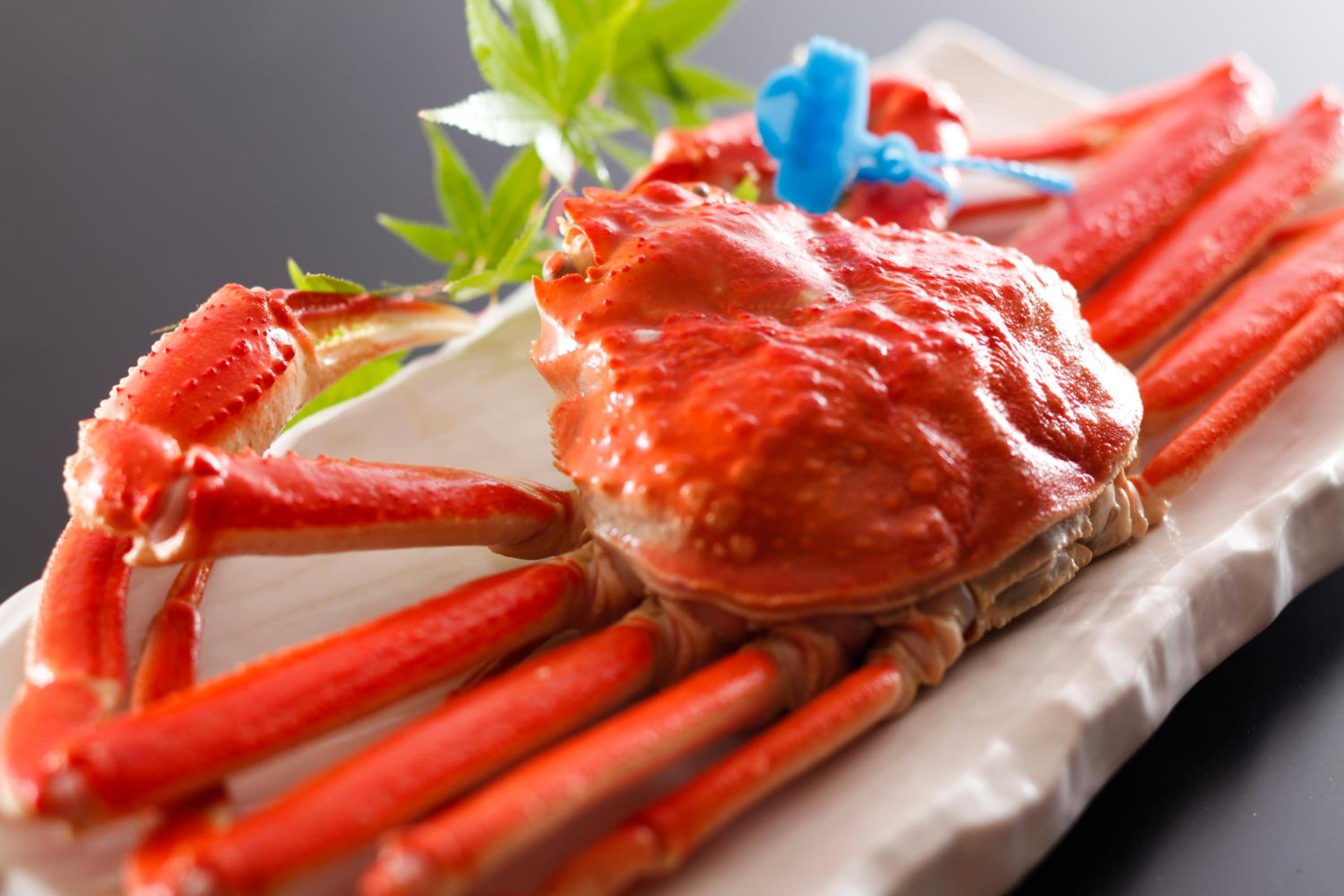 Japanese-Style Twin Room with Tatami Mat - Breakfast and Snow Crab Dinner Included