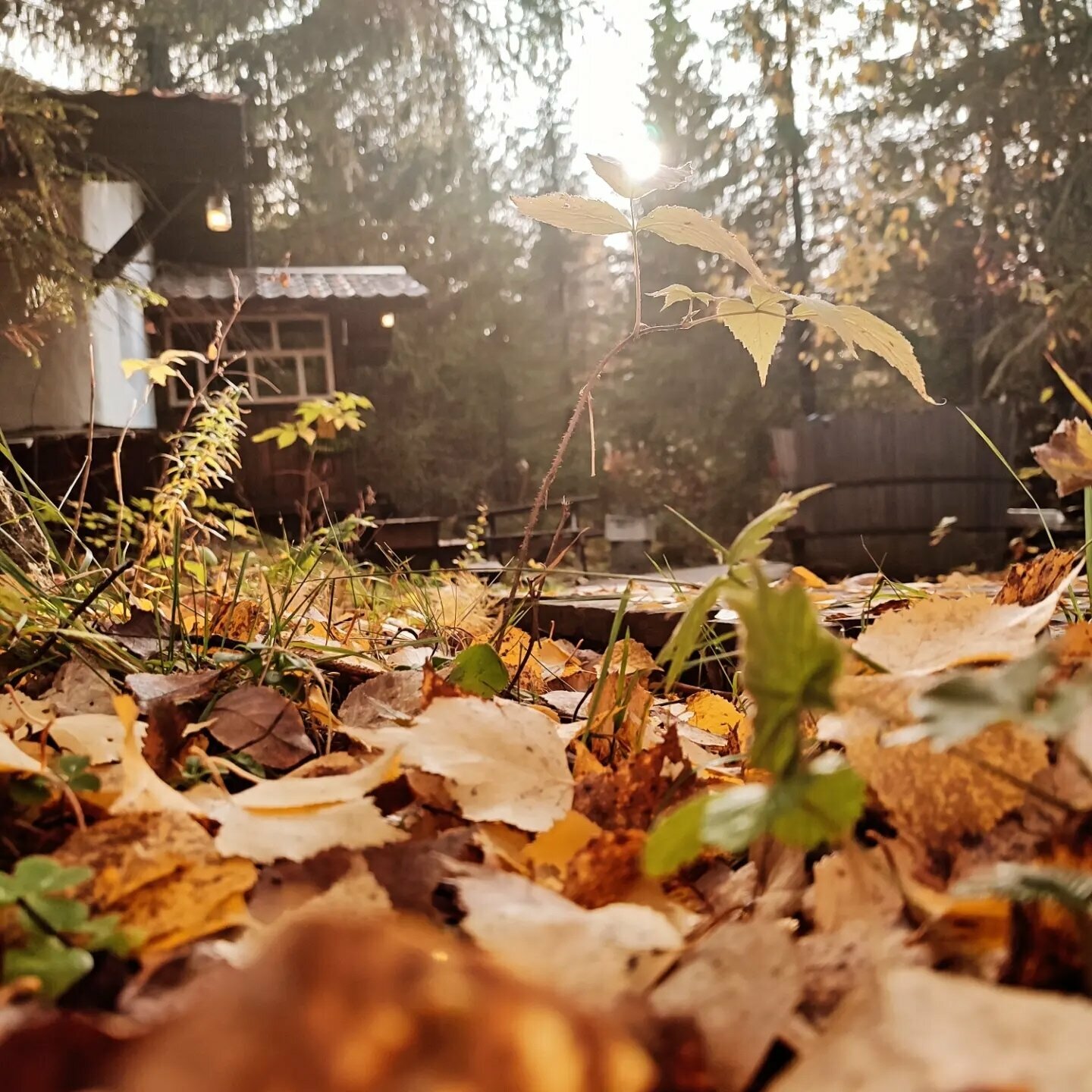 Апартаменты