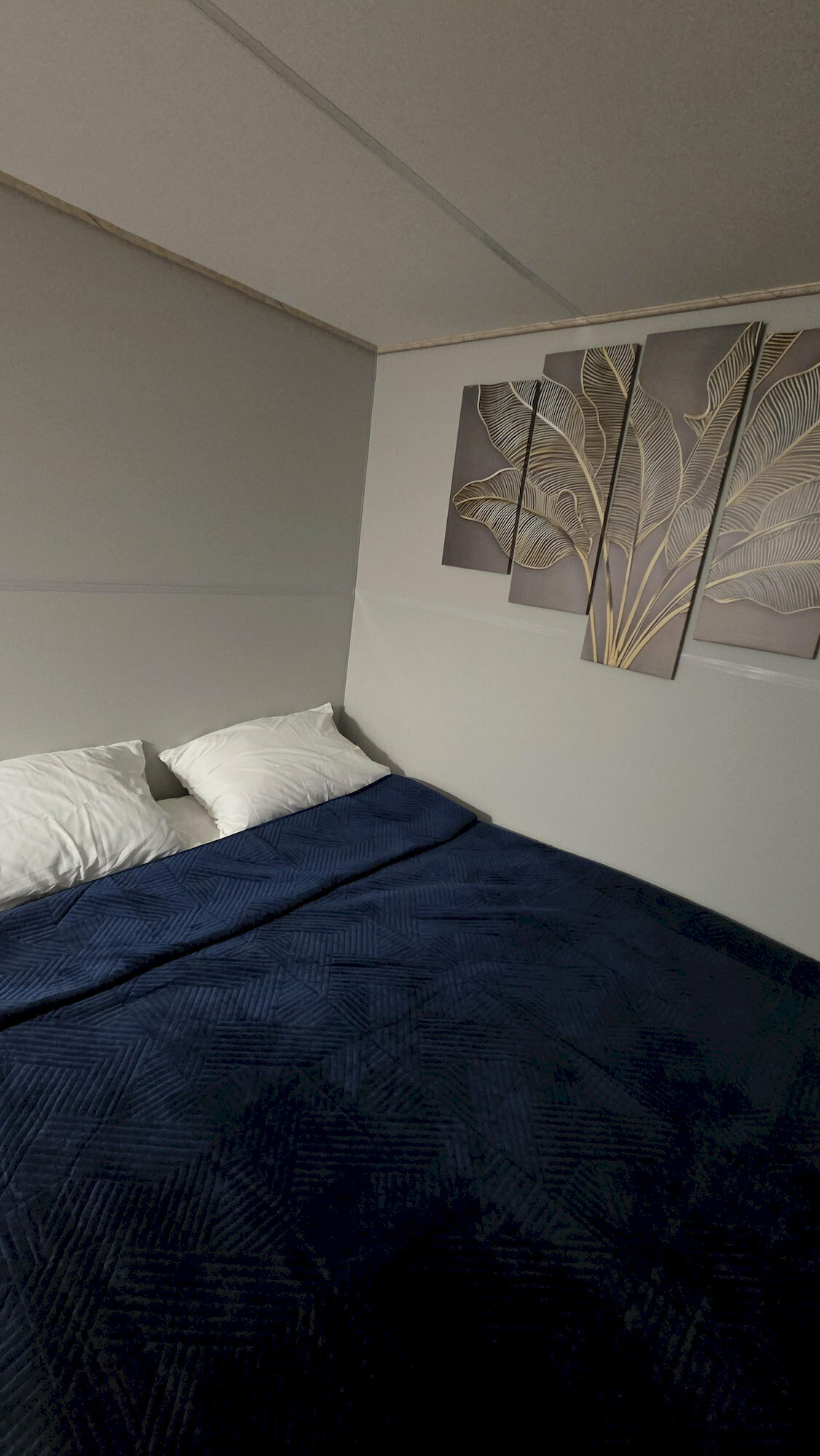 Двухместный номер с 1 кроватью