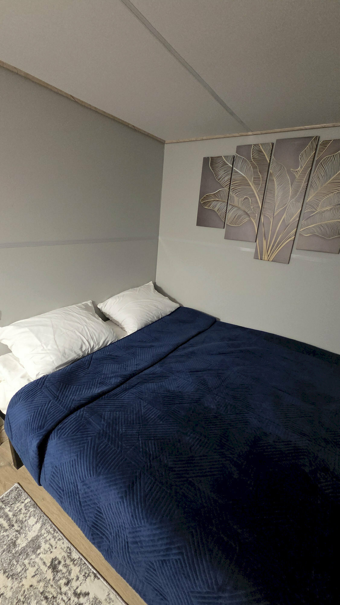 Двухместный номер с 1 кроватью