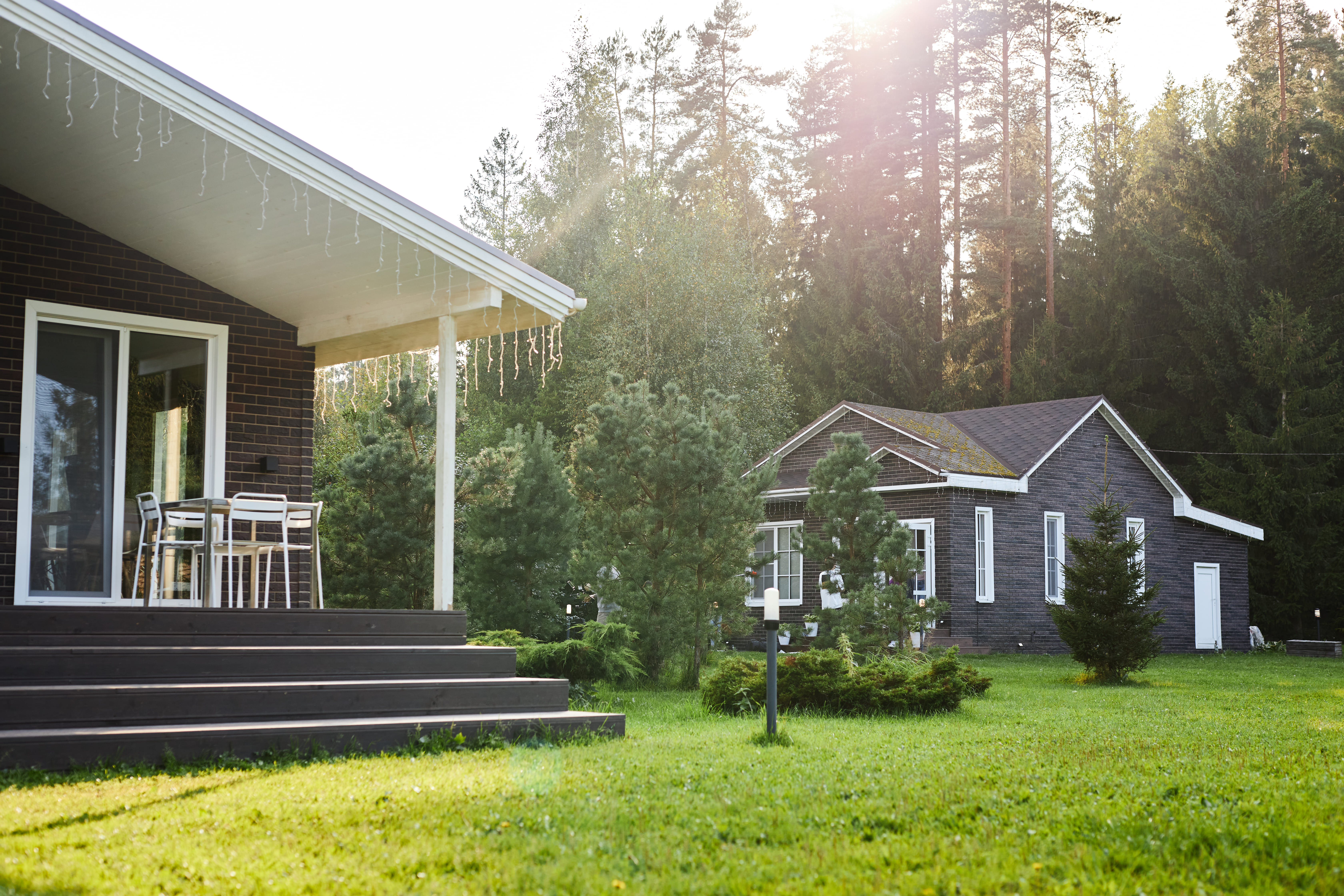 Дом с видом на лес