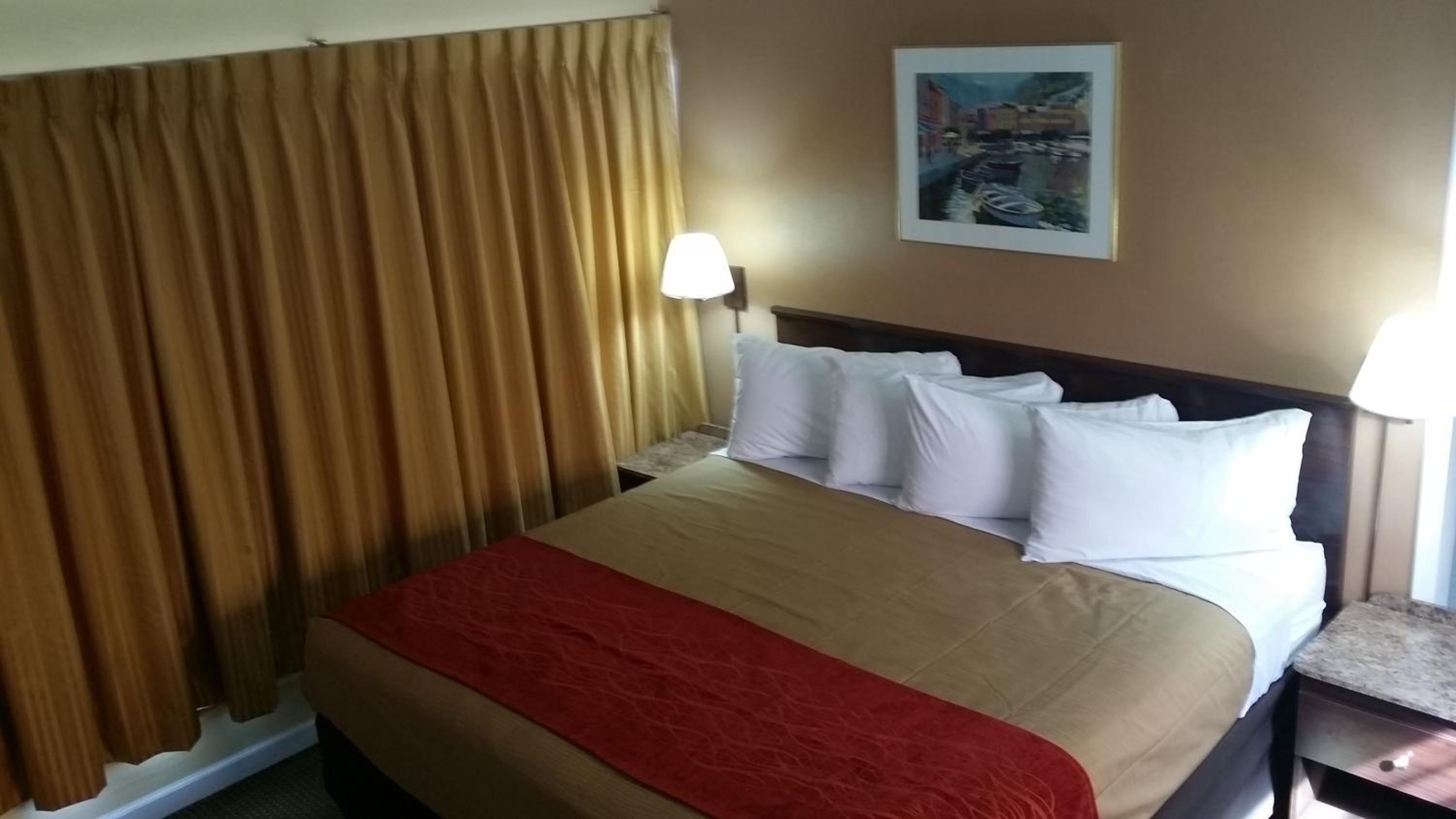 King Room - Non-Smoking