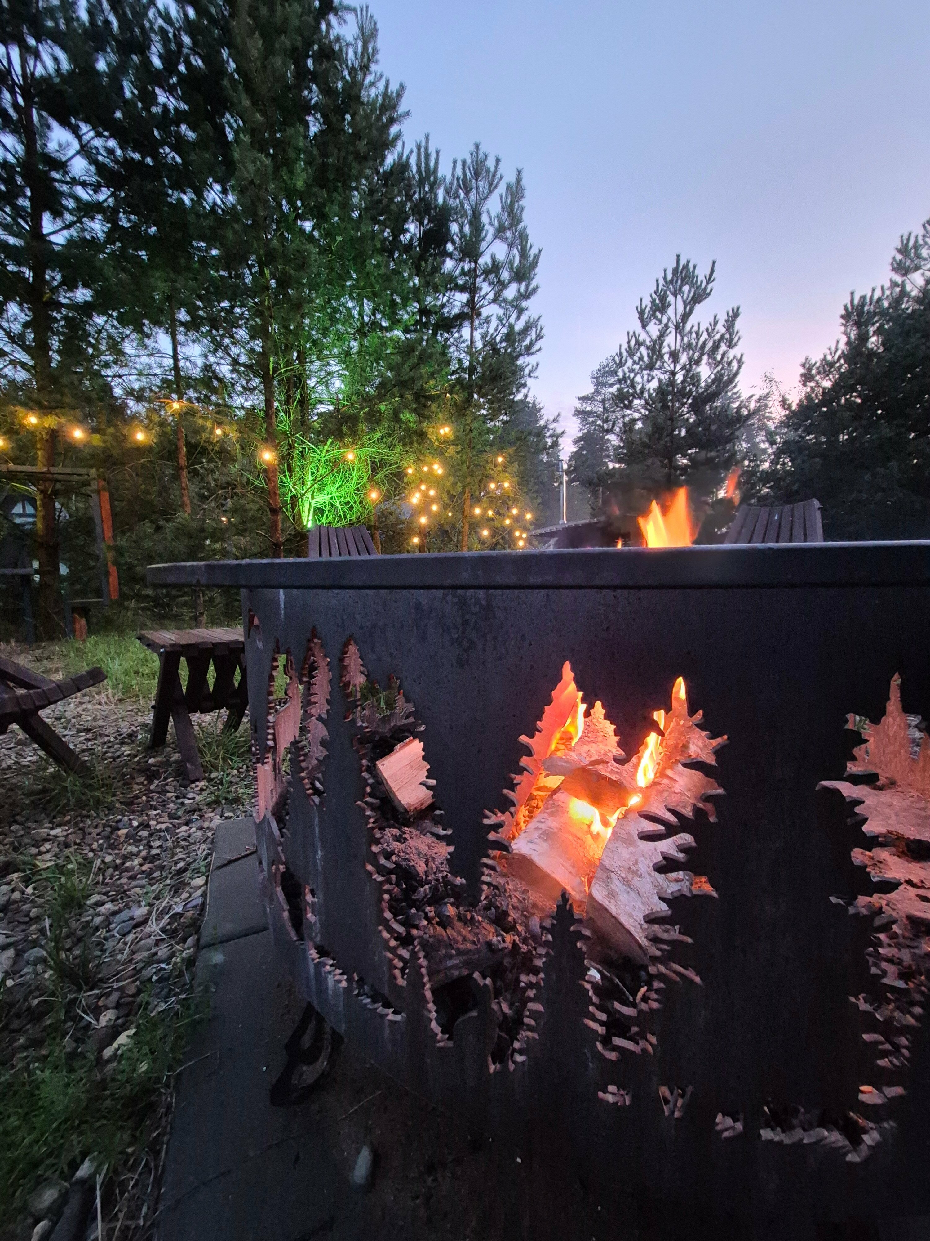 Дом с видом на лес