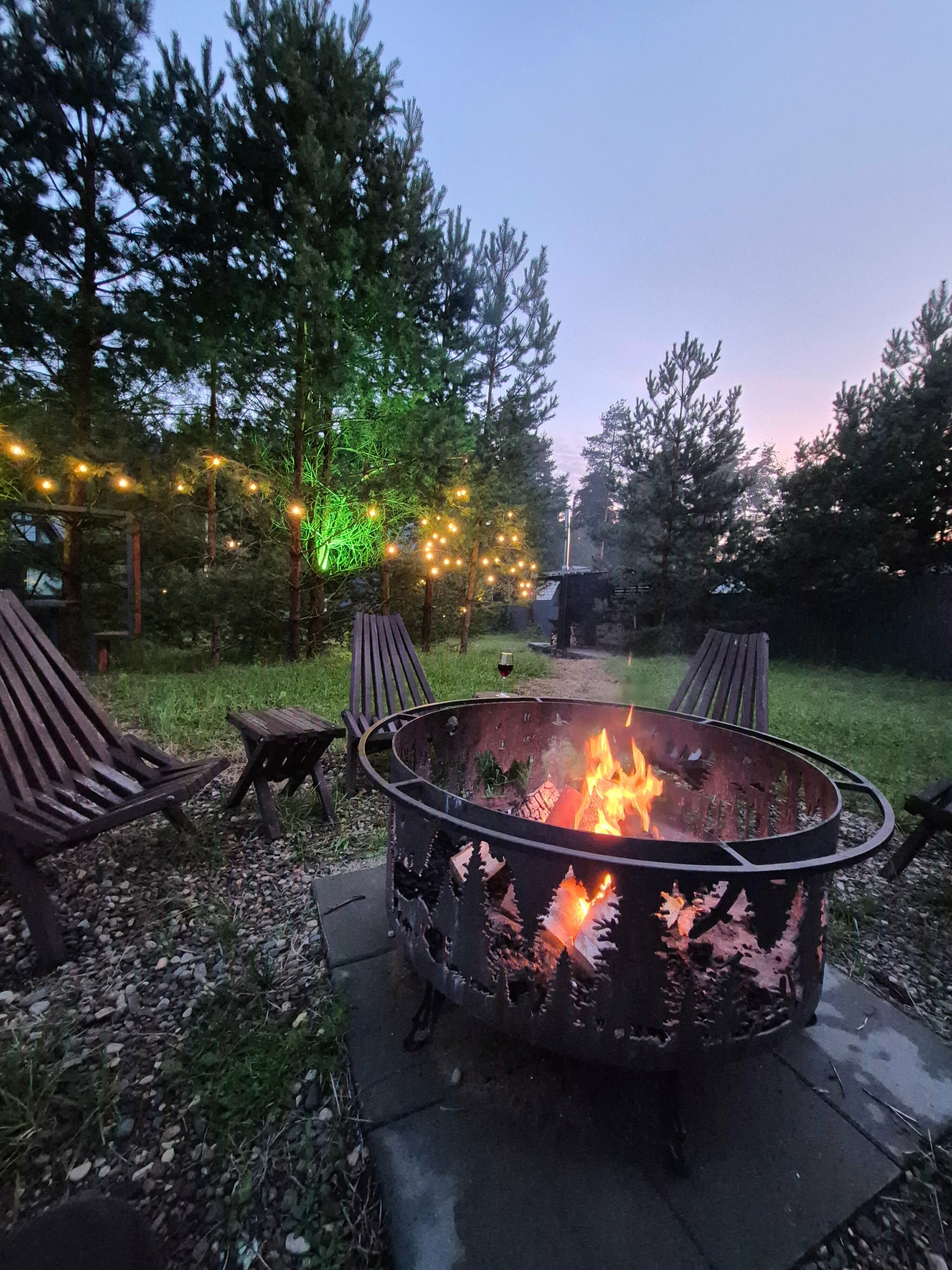 Дом с видом на лес