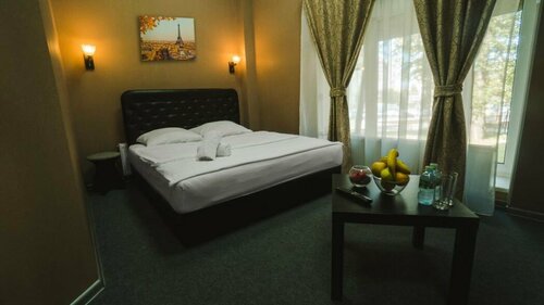 Двухместный номер Делюкс с 1 кроватью