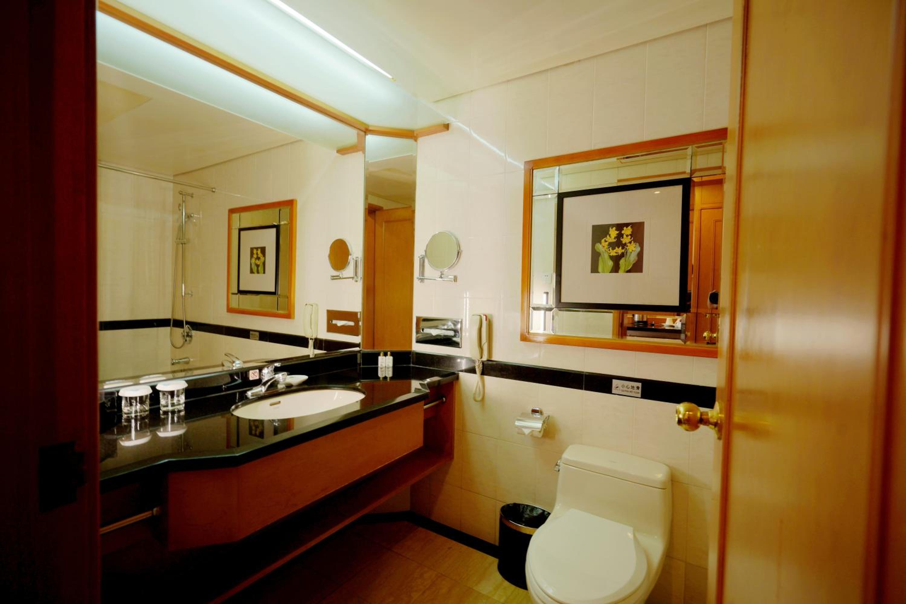 Business VIP Twin Room 