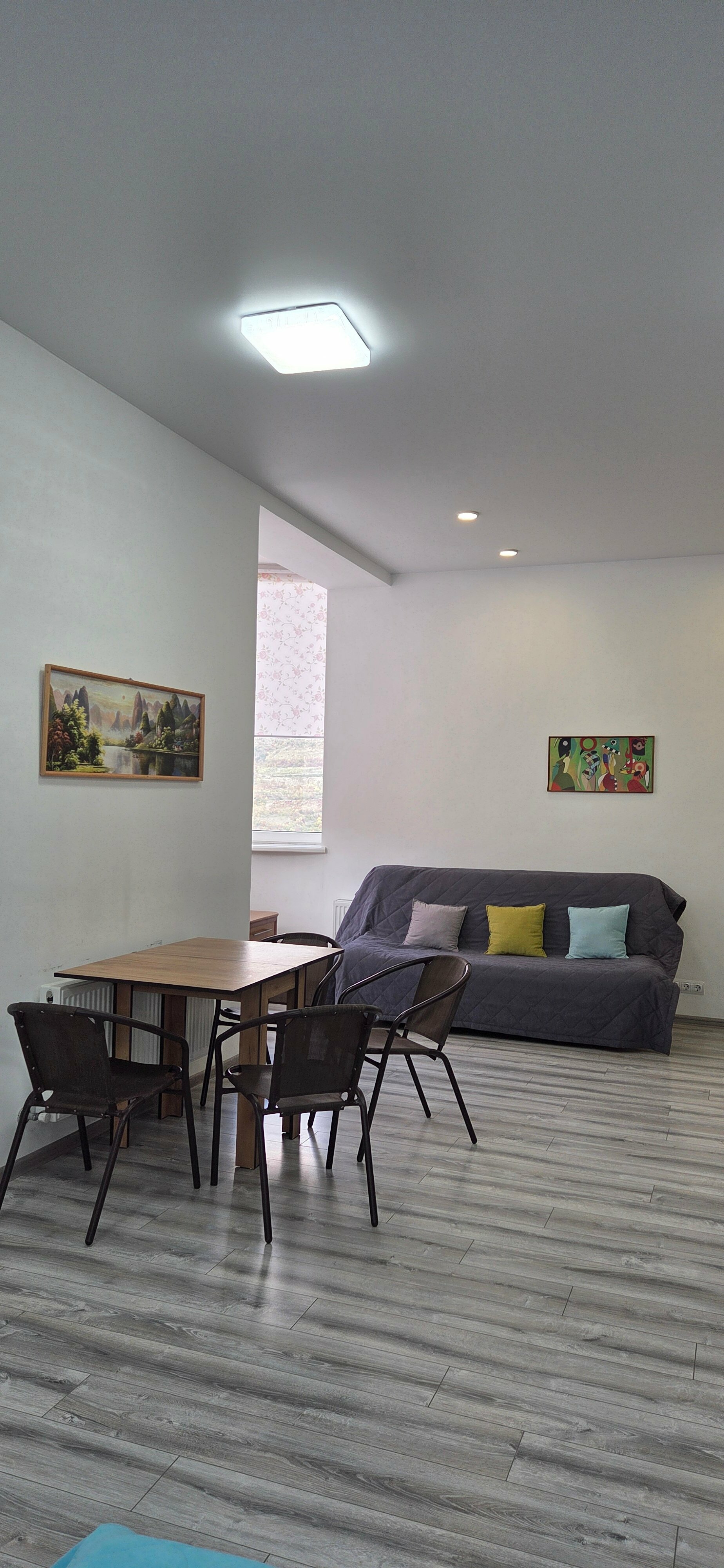 Апартаменты Делюкс с кухней и балконом