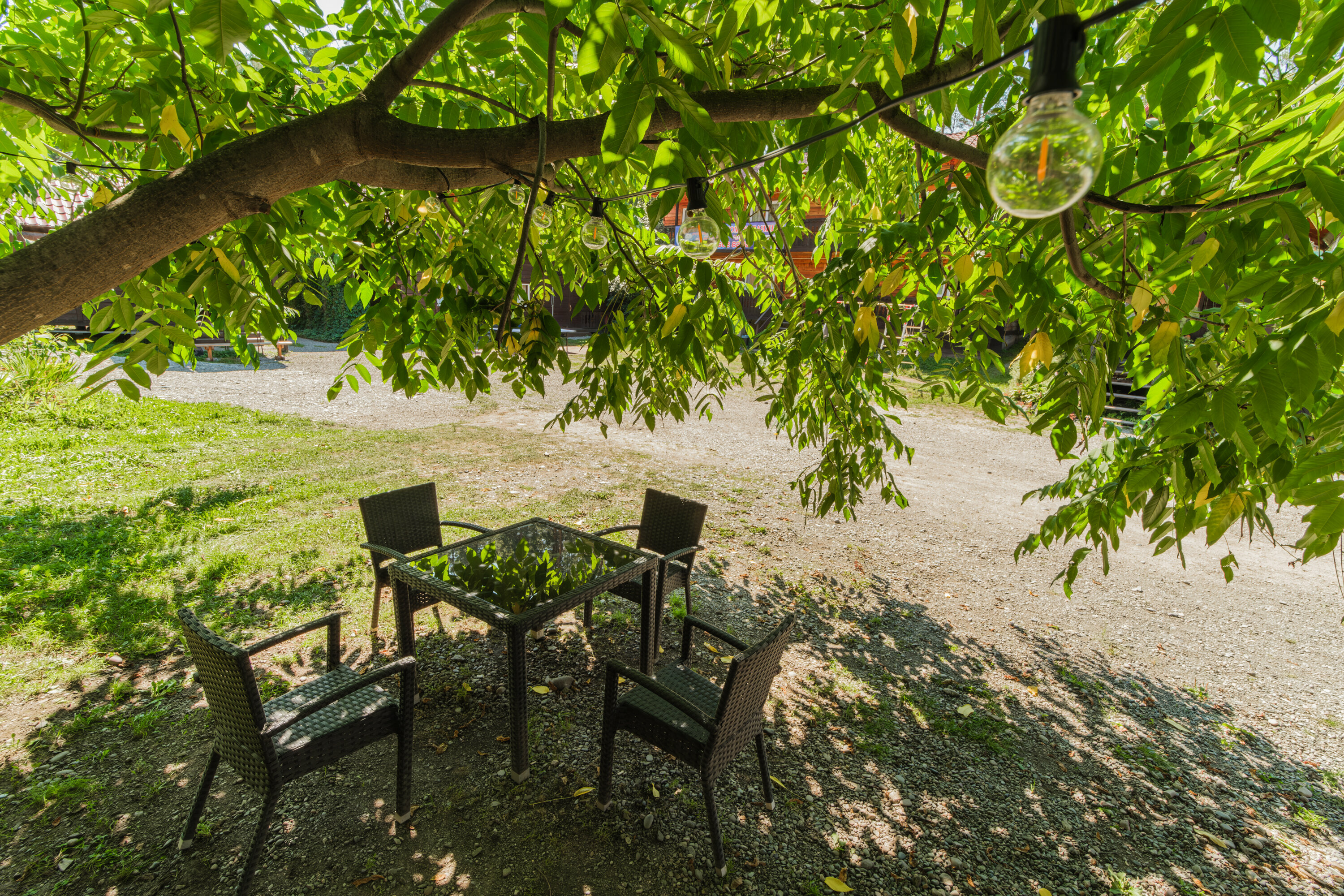 Летний номер трехместный