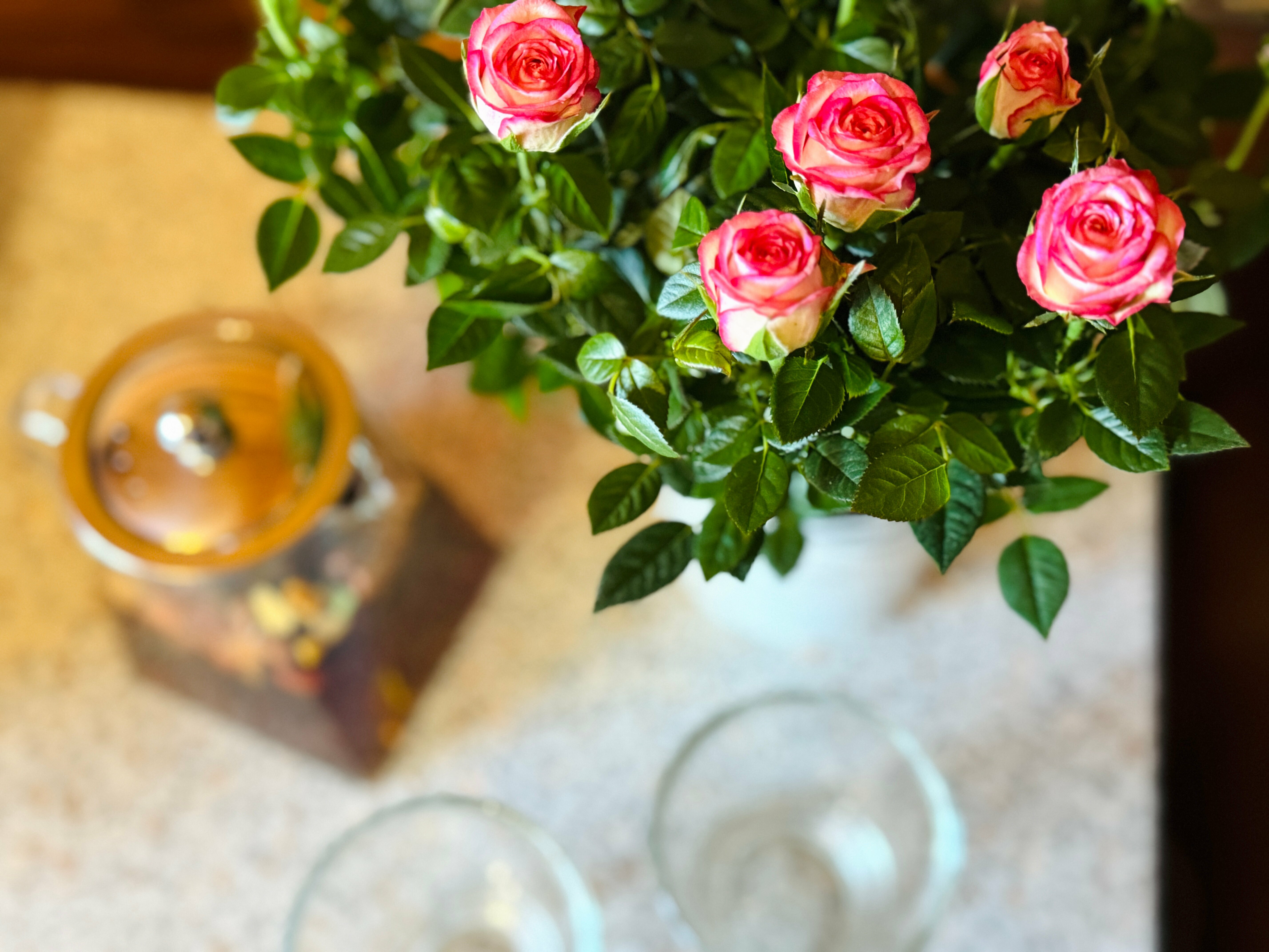 1–комнатный 5-местный с мини-кухней и террасой