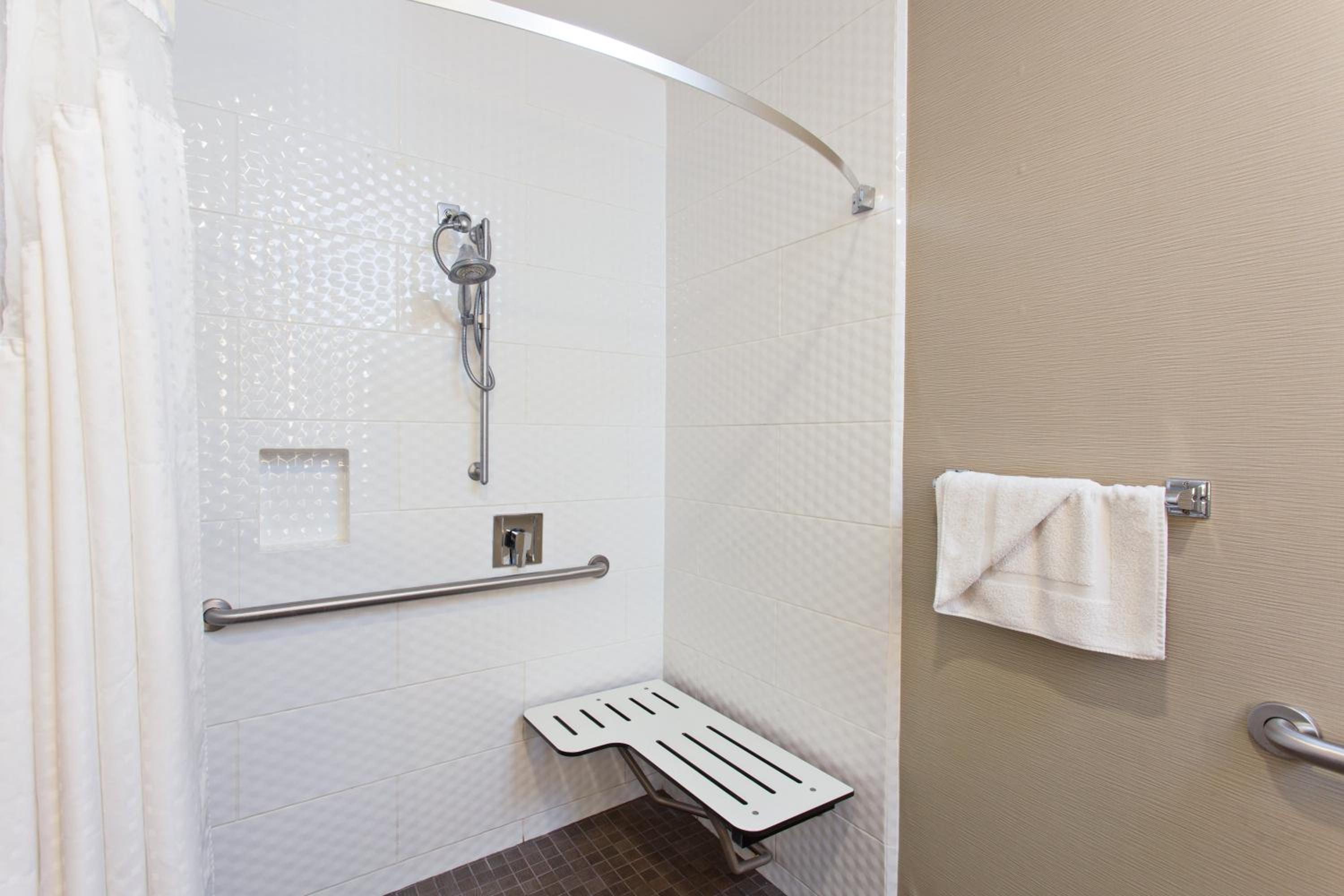 King Room with Roll In Shower and City View - Mobility Accessible