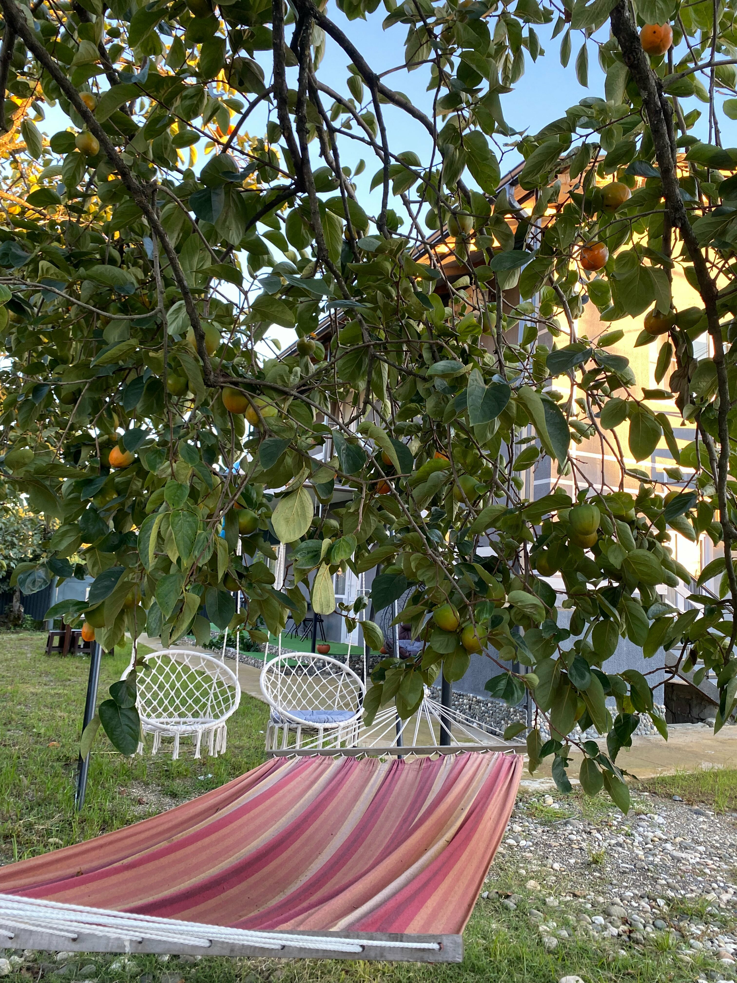 Трехместный номер «Комфорт»