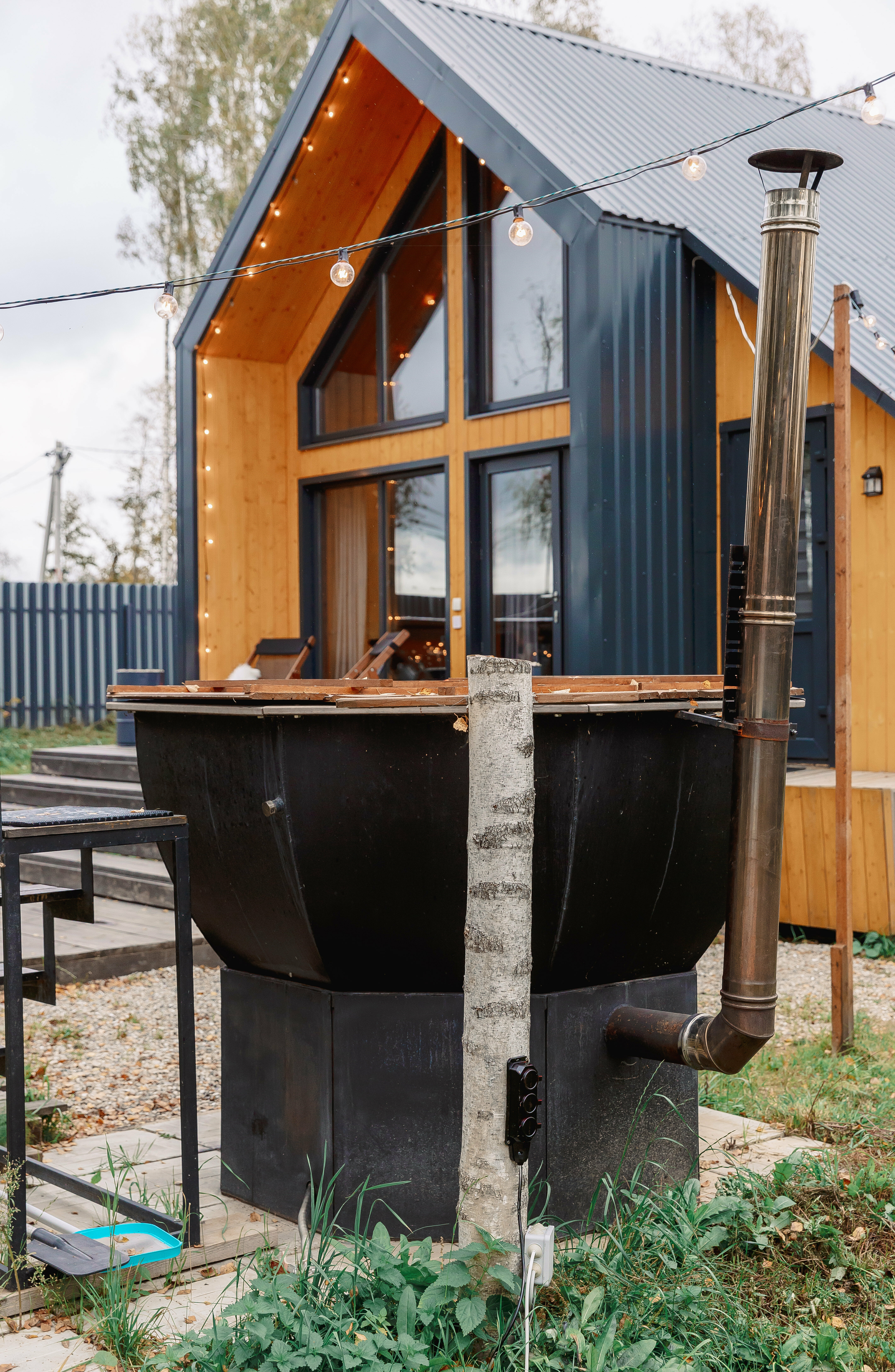 Дом в березовой роще