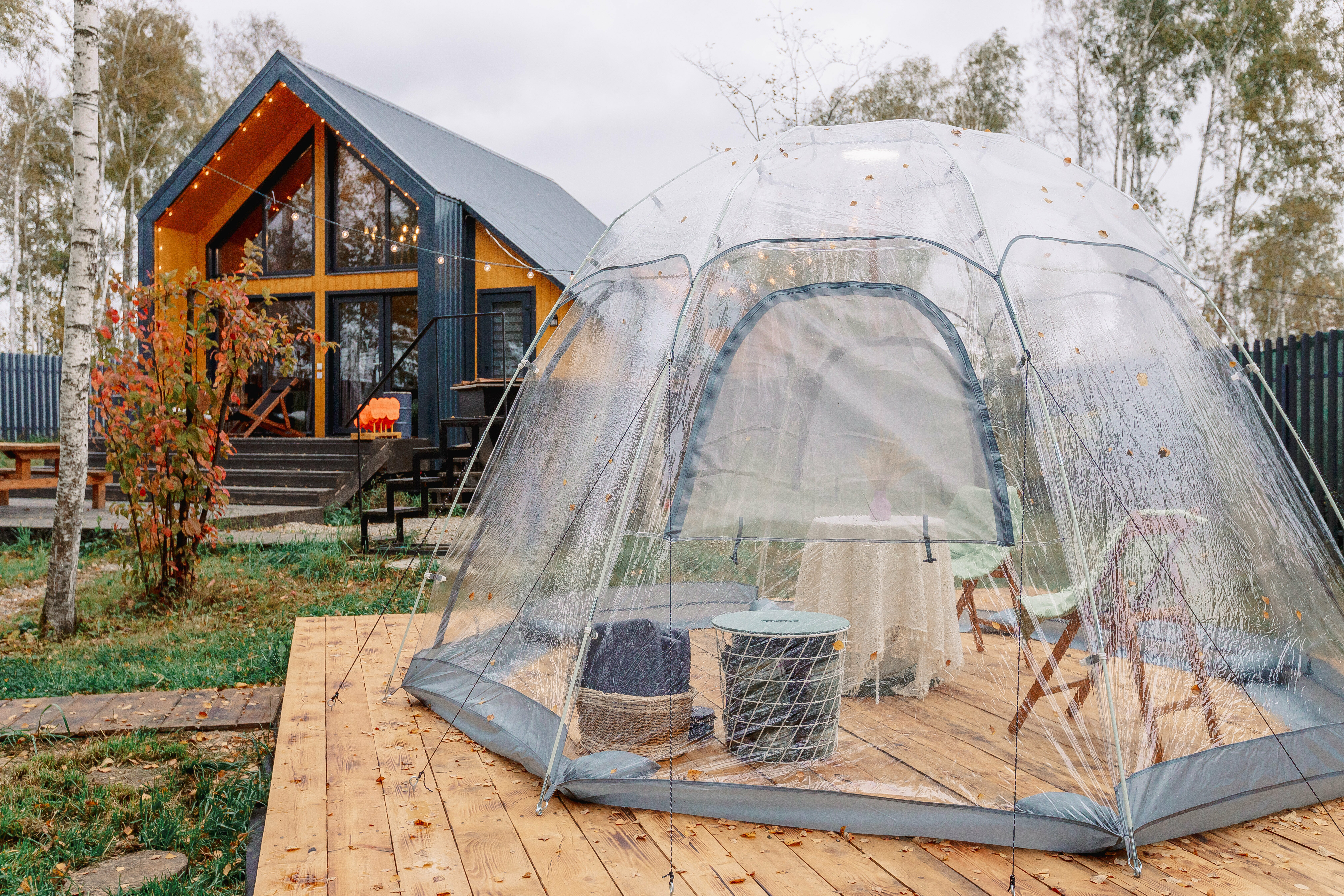 Дом в березовой роще