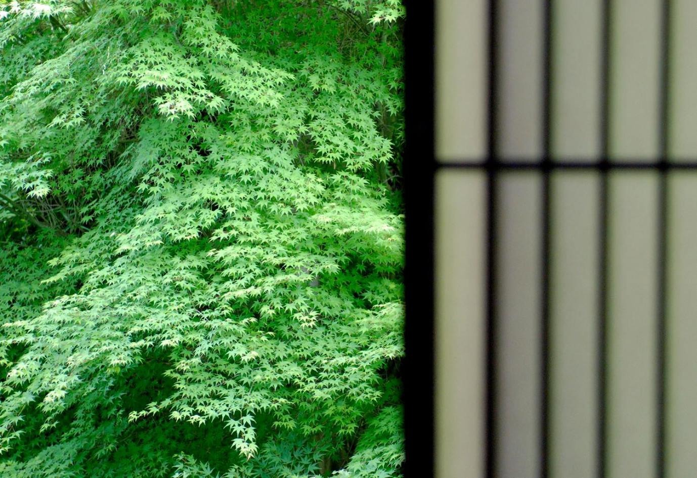 Japanese-Style Quadruple Room with Kotatsu【Yama-no-Iori】