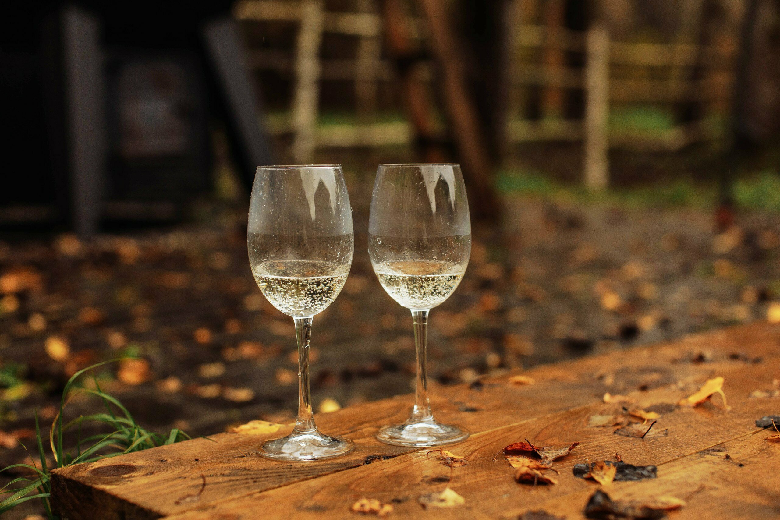 Дом для отпуска 40м2