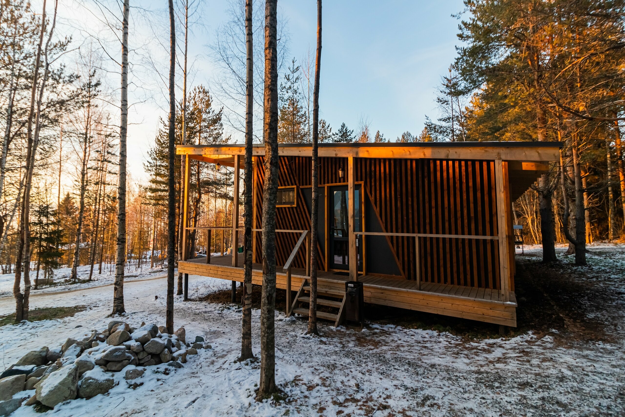 Номер «Березовая роща»