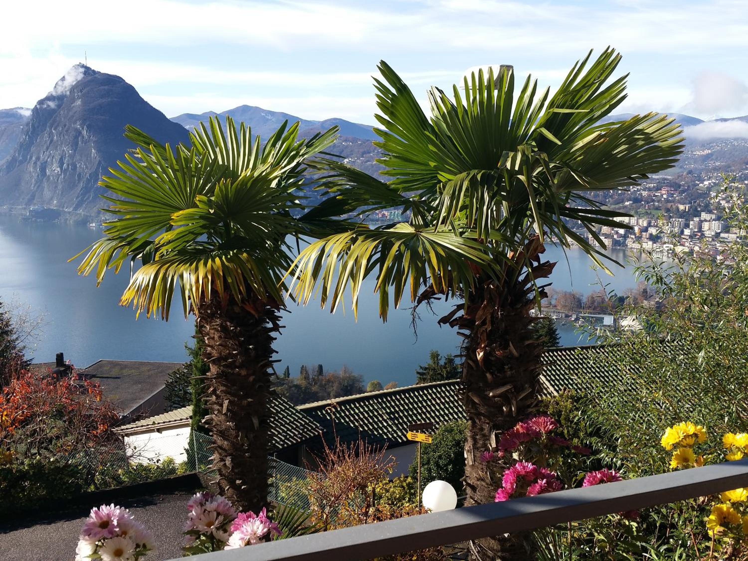 Triple Room with Lake View and Balcony