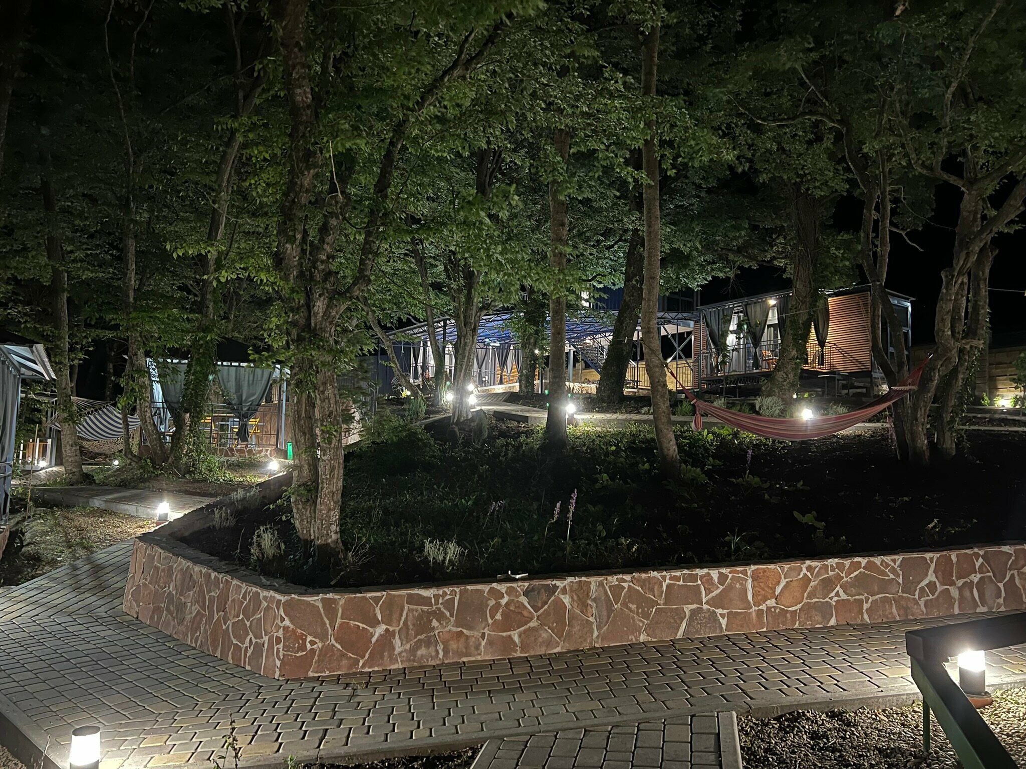 Дом с видом на лес