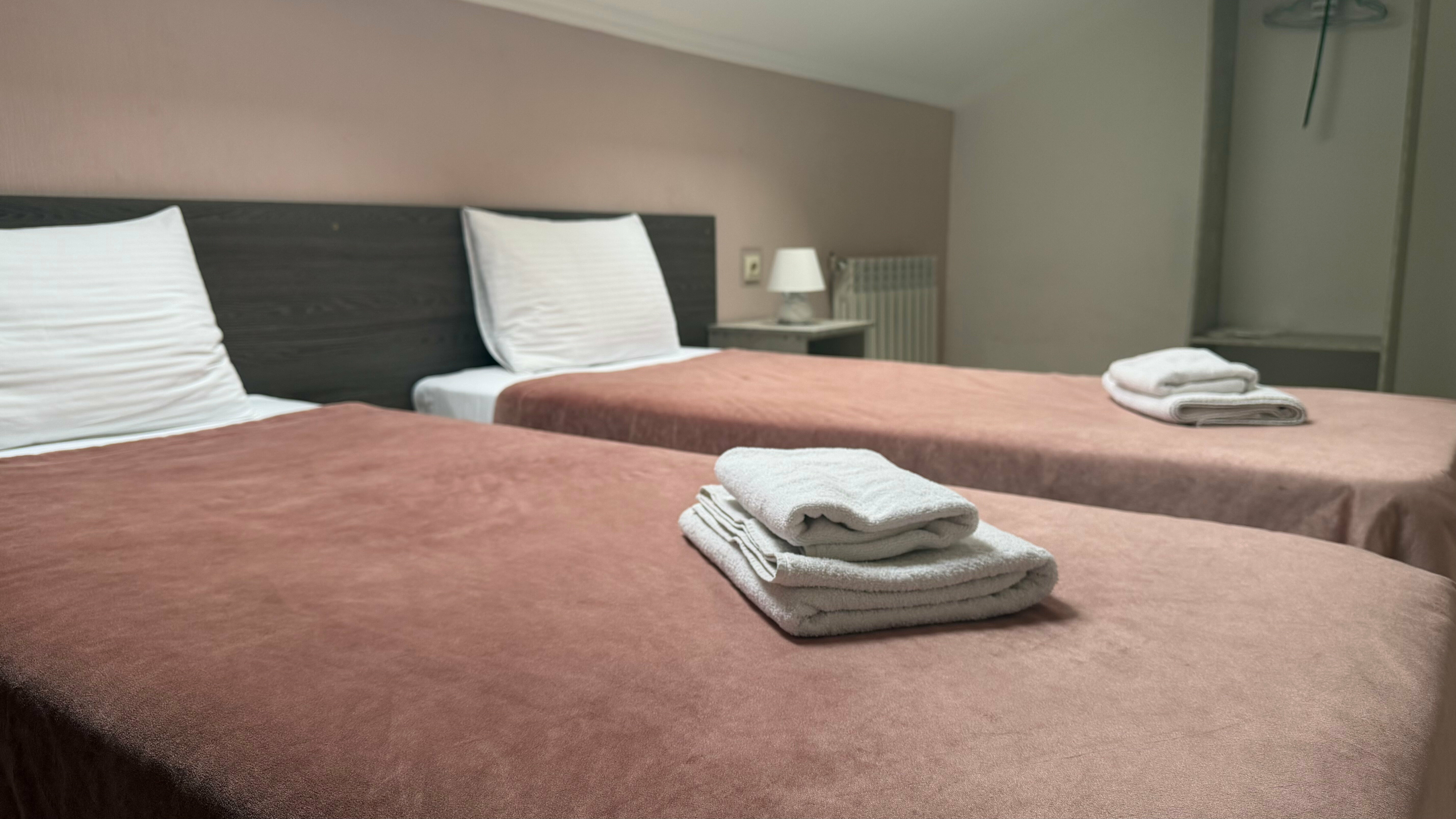 Двухместный номер с 2 отдельными кроватями (мансарда)