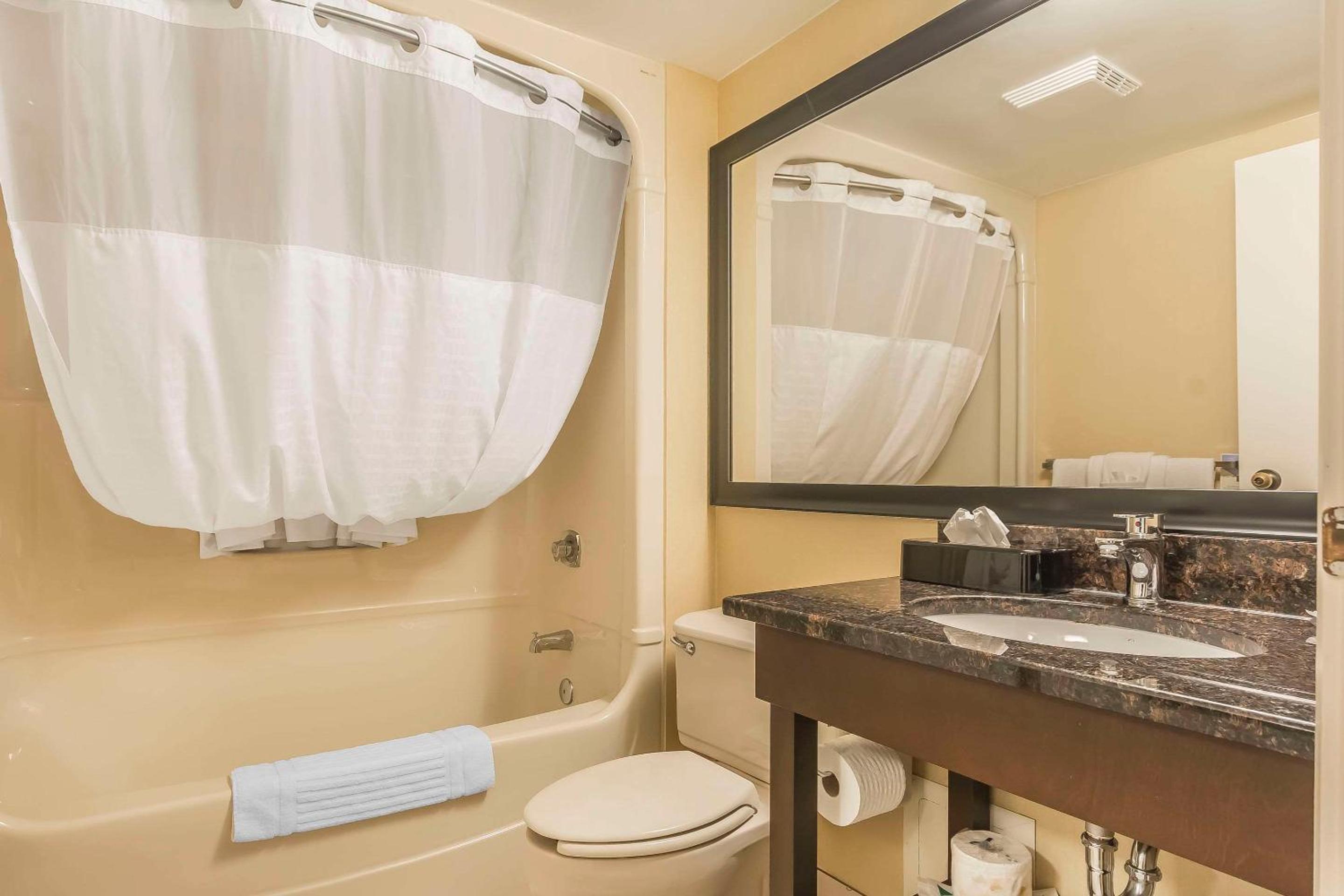 Double Room with Two Double Beds