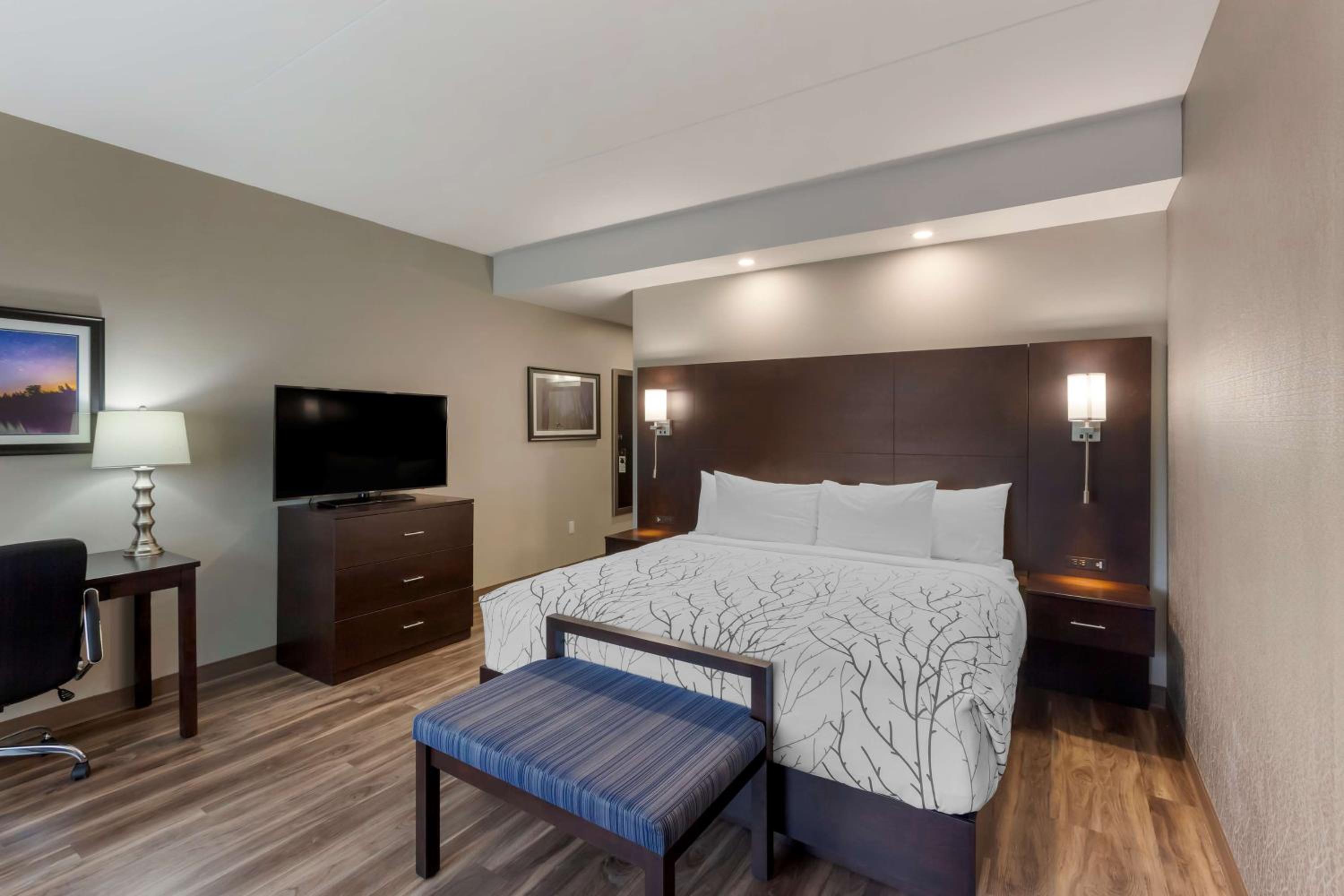 Large King Room - Non-Smoking