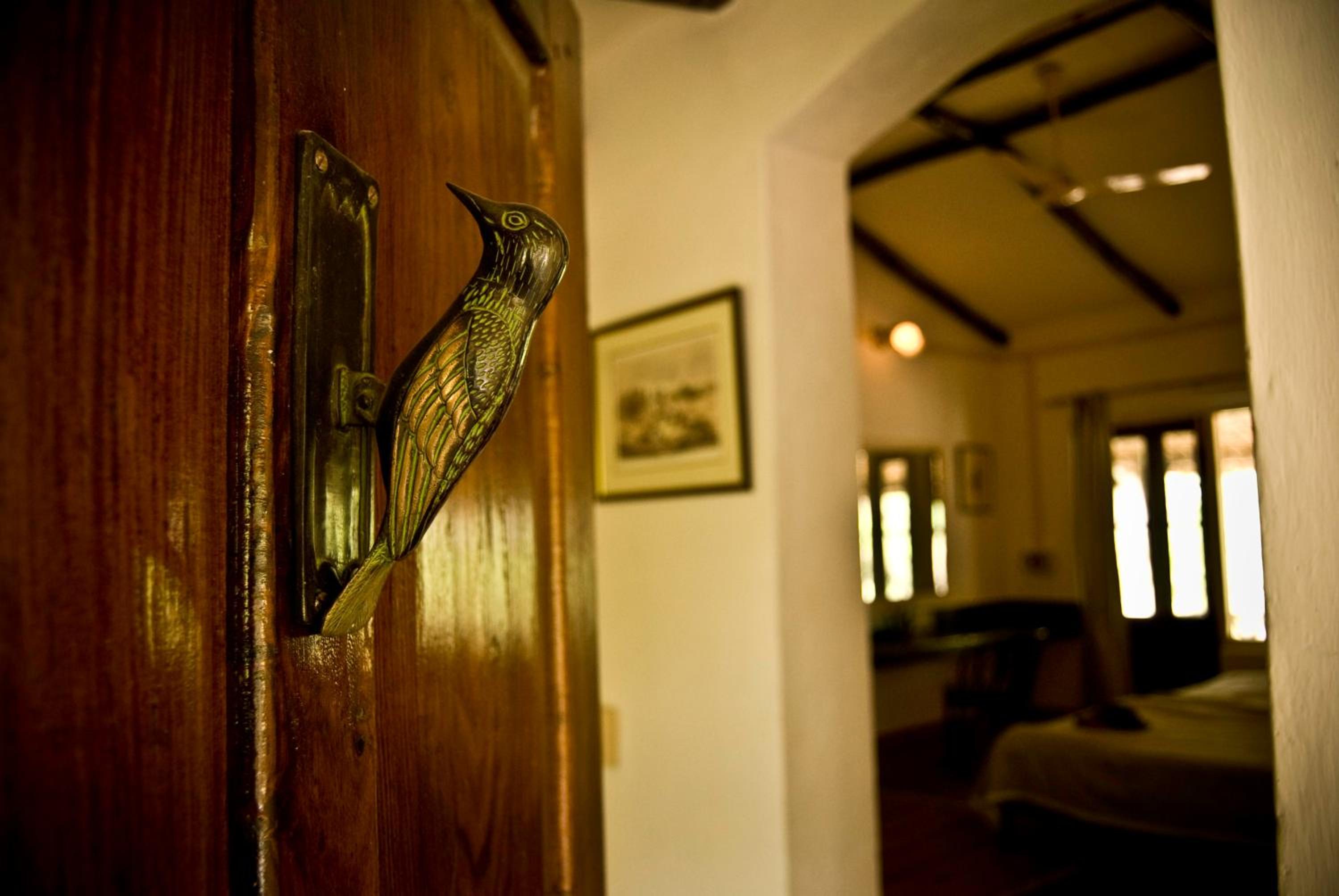 Jungle Family Cottage