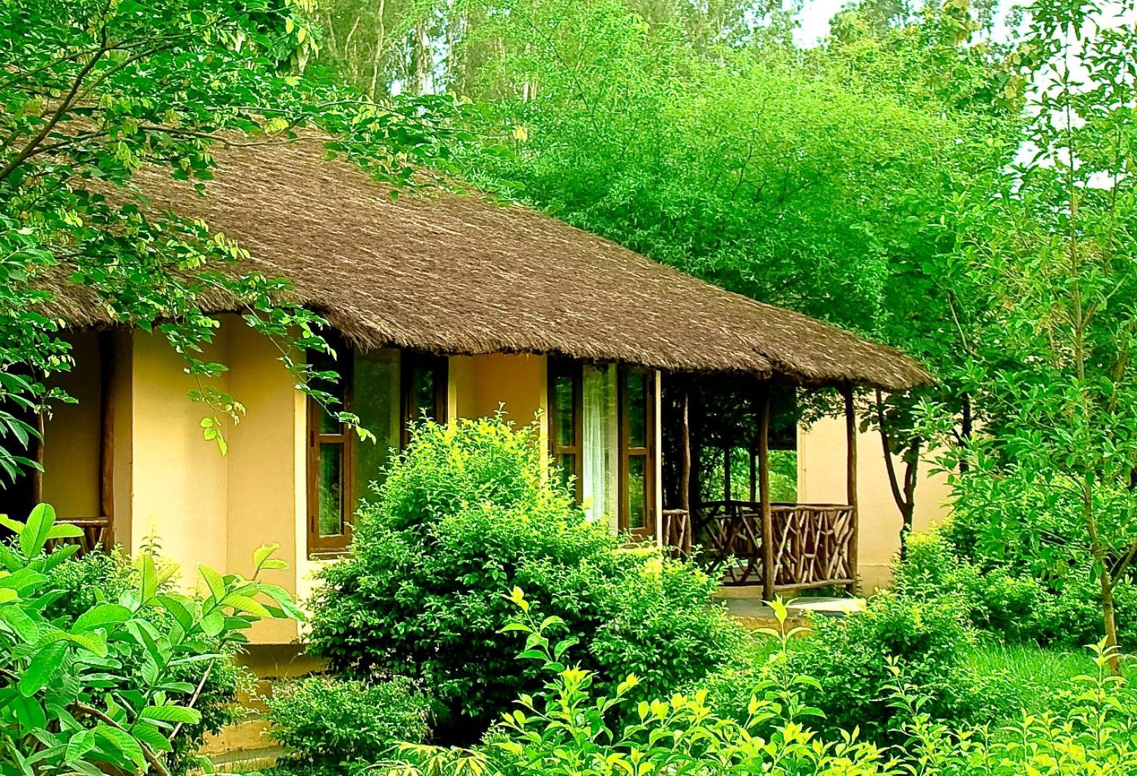 Jungle Family Cottage