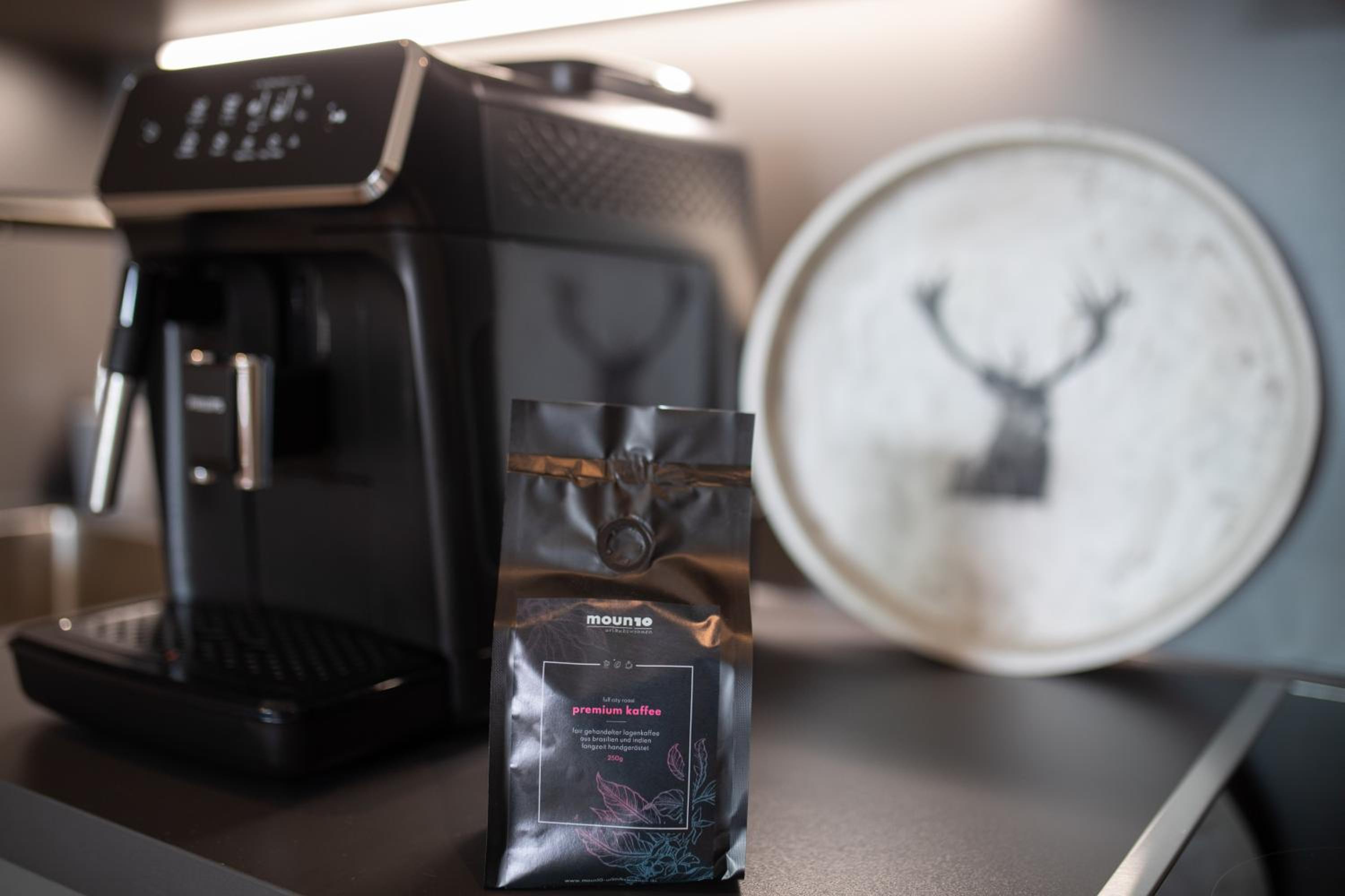 One-Bedroom Apartment with Balcony and Mountain View  