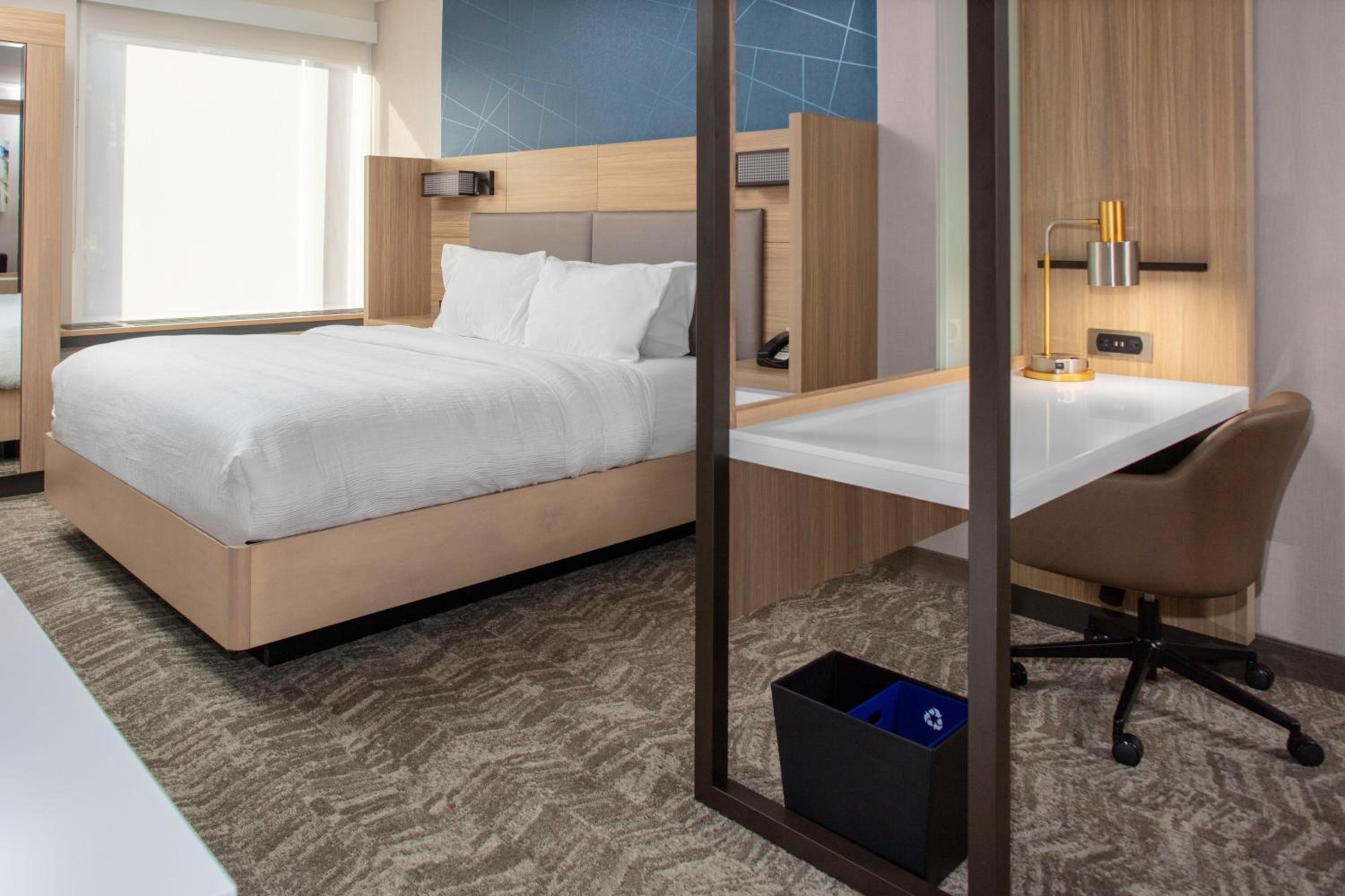 King Suite with Sofa Bed