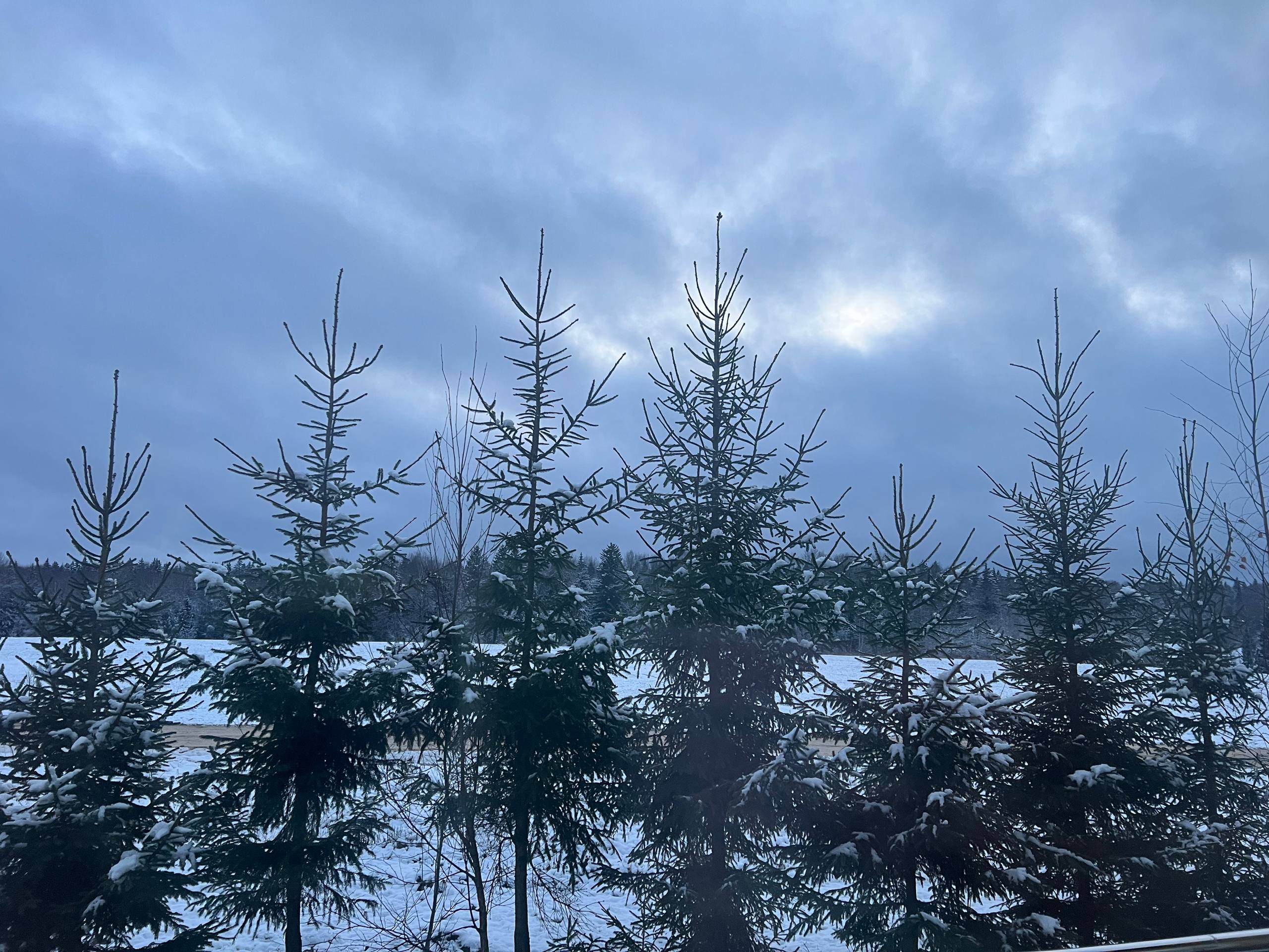 Номер-студия