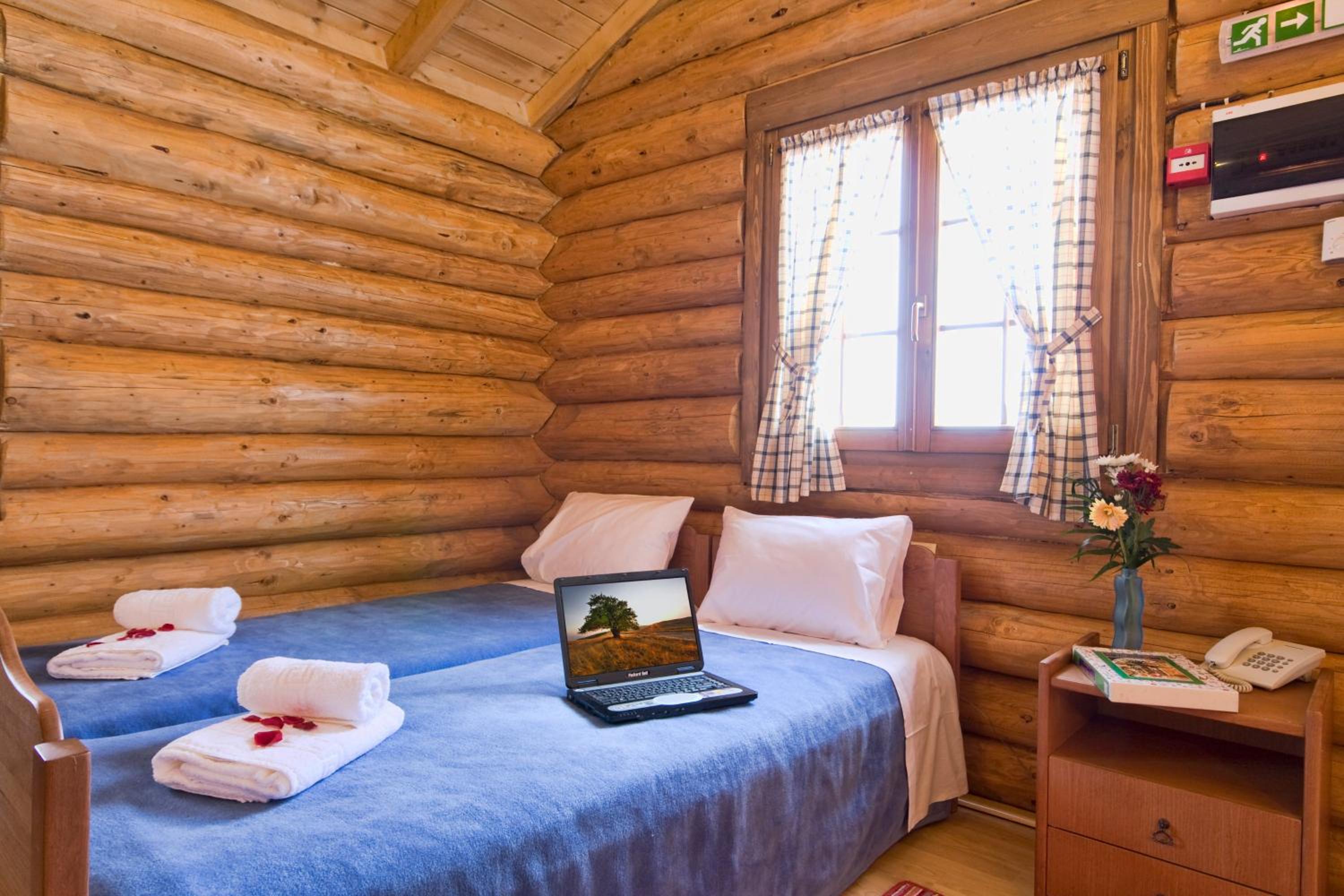 Chalet with fireplace