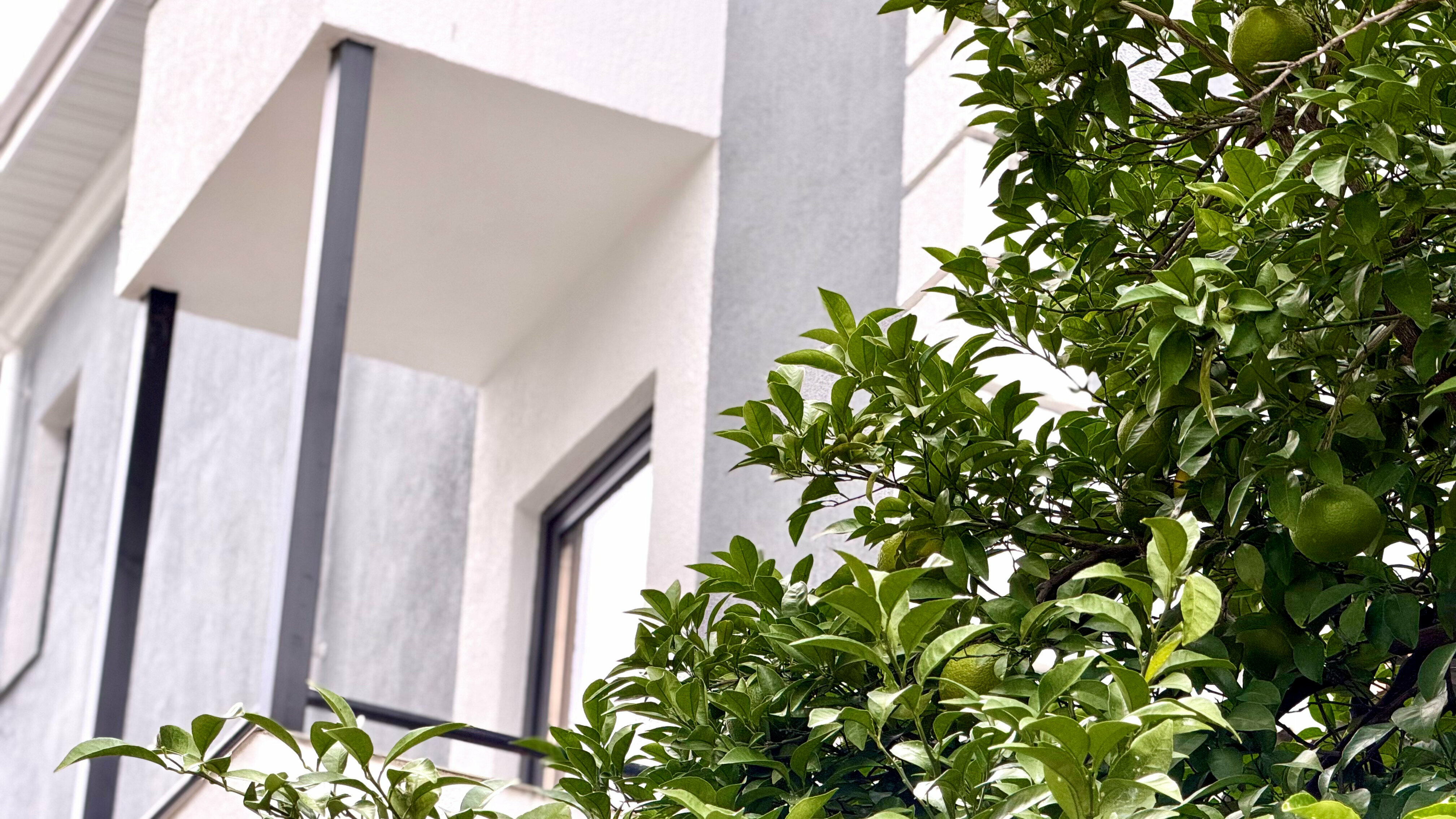 Стандарт с балконом и видом на горы