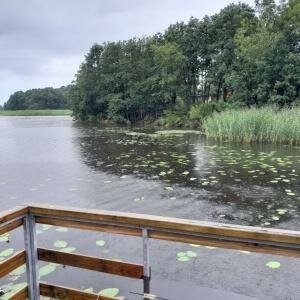 Плавдом Садко 18 "Купе" №3