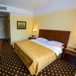 Стандарт с видом во двор