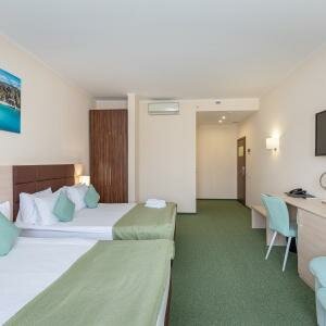 Twin Deluxe (Двухместный номер с двумя раздельными кроватями)