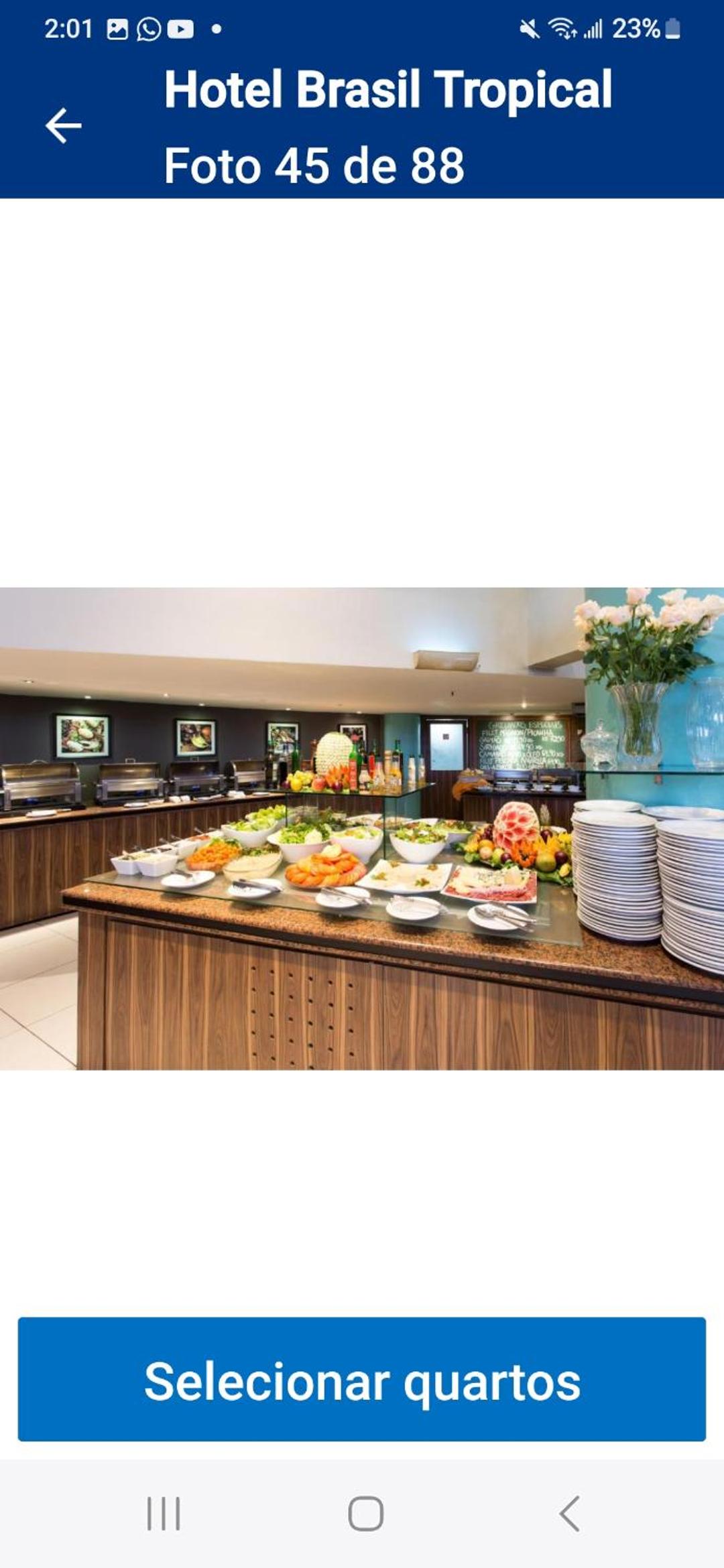 One-Bedroom Premium Apartment with Ocean View