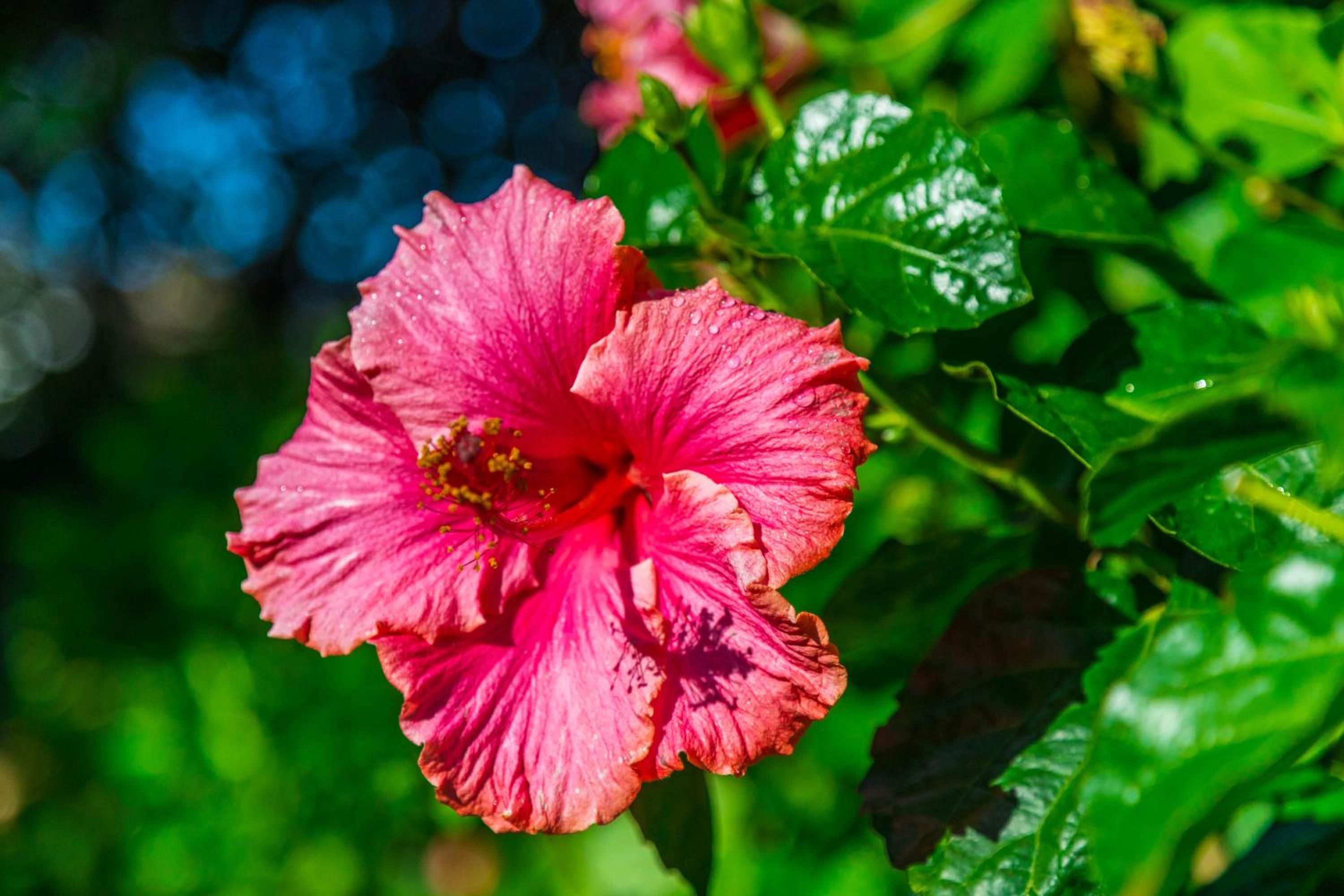 Studio with Spa Bath