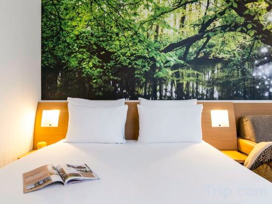 Standard 2 single  room