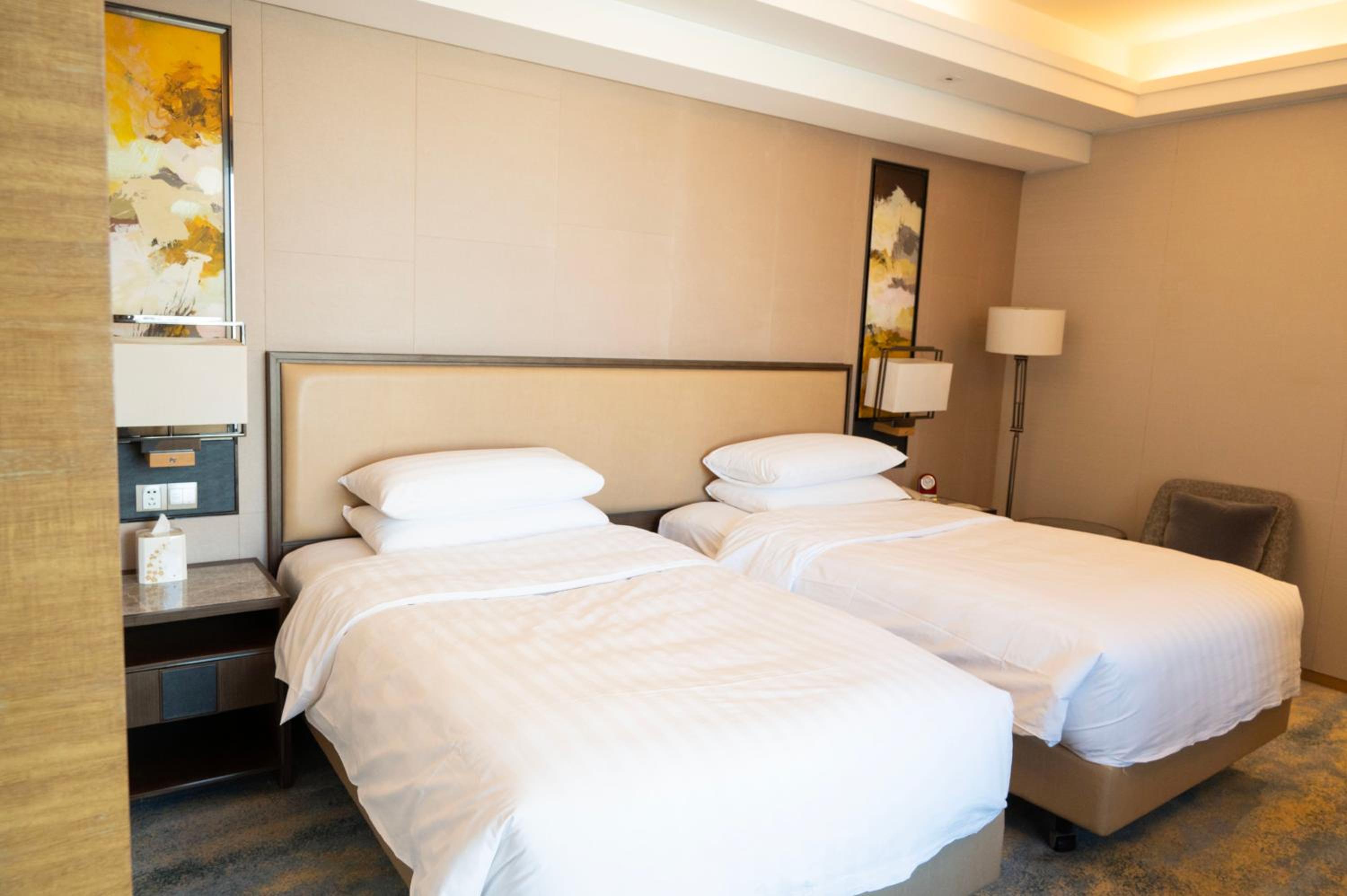 Deluxe City View Twin