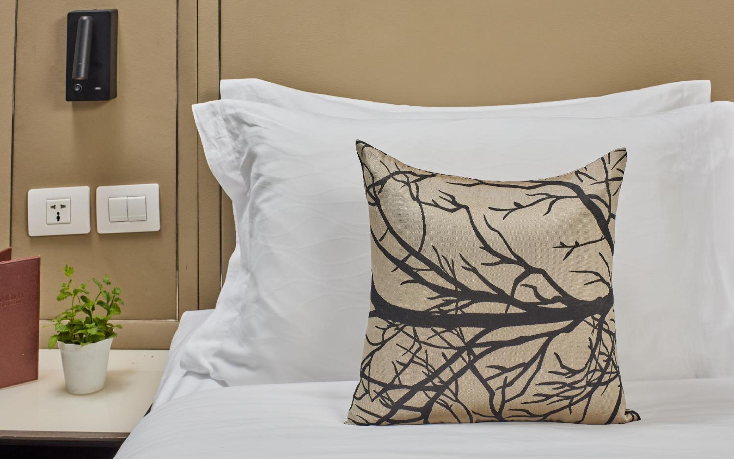 Standard Queen with High Speed Wifi